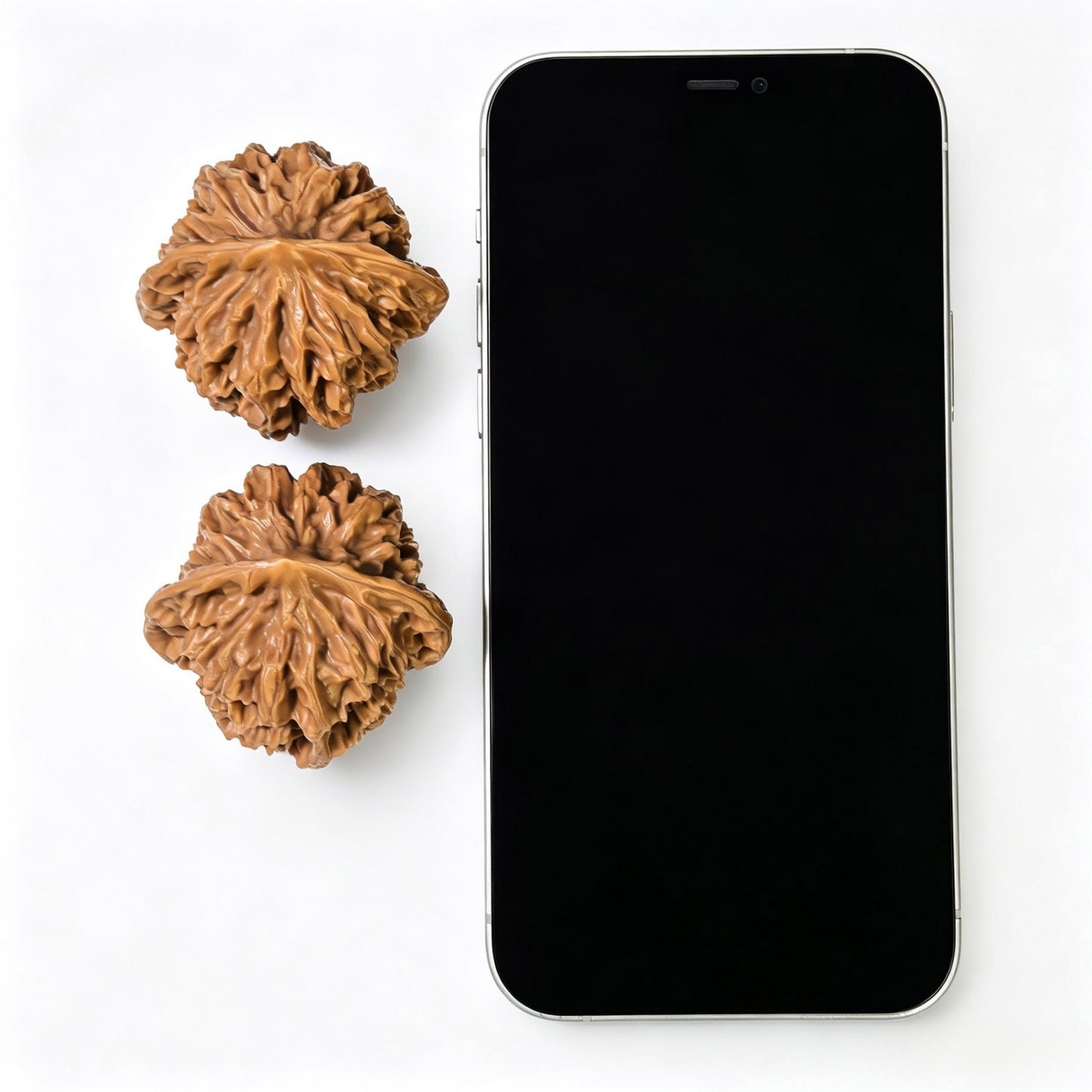 "Imperial Crown" Diwang DW-1602 Wenwan Walnuts Pair | 46.0mm x 43.0mm | DW-1602