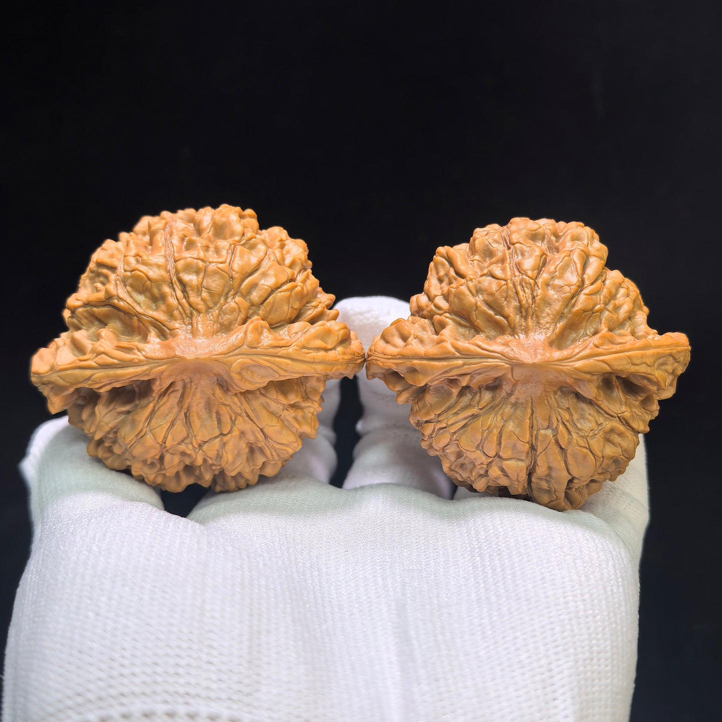 "Dragon Tripod Low Profile" Longding Aizhuang Wenwan Walnuts Pair | 55.0mm x 50.0mm | LD-1552C