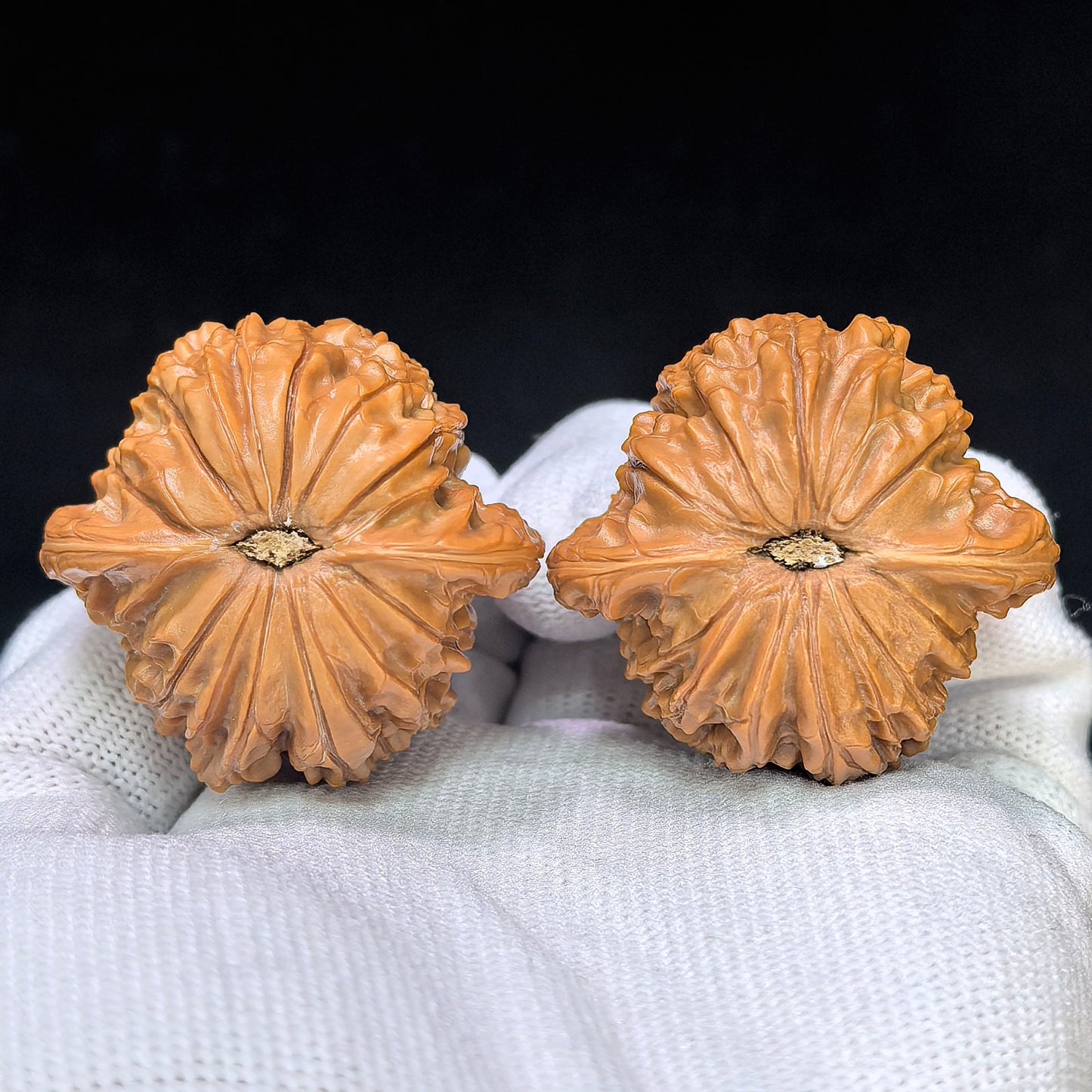 "Millstone" Mopan MB-17F4 Low-Profile Wenwan Walnuts Pair | 40.0mm x 37.0mm | MB-17F4