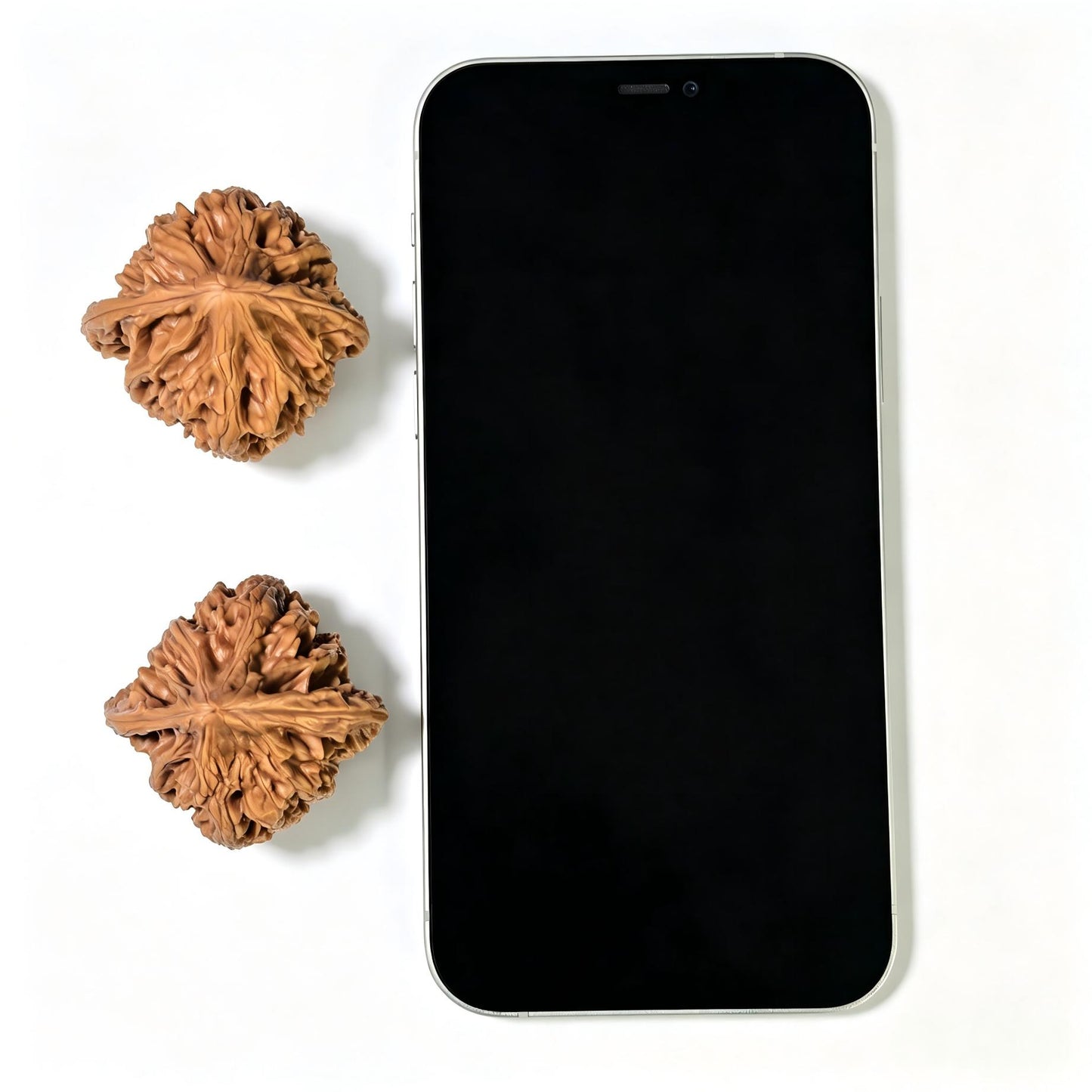 "Beijing Rooster Heart" Beijing Jixin Wenwan Walnuts (Pair) | 41.0mm x 40.0mm | Stock ID: BJJX-1104