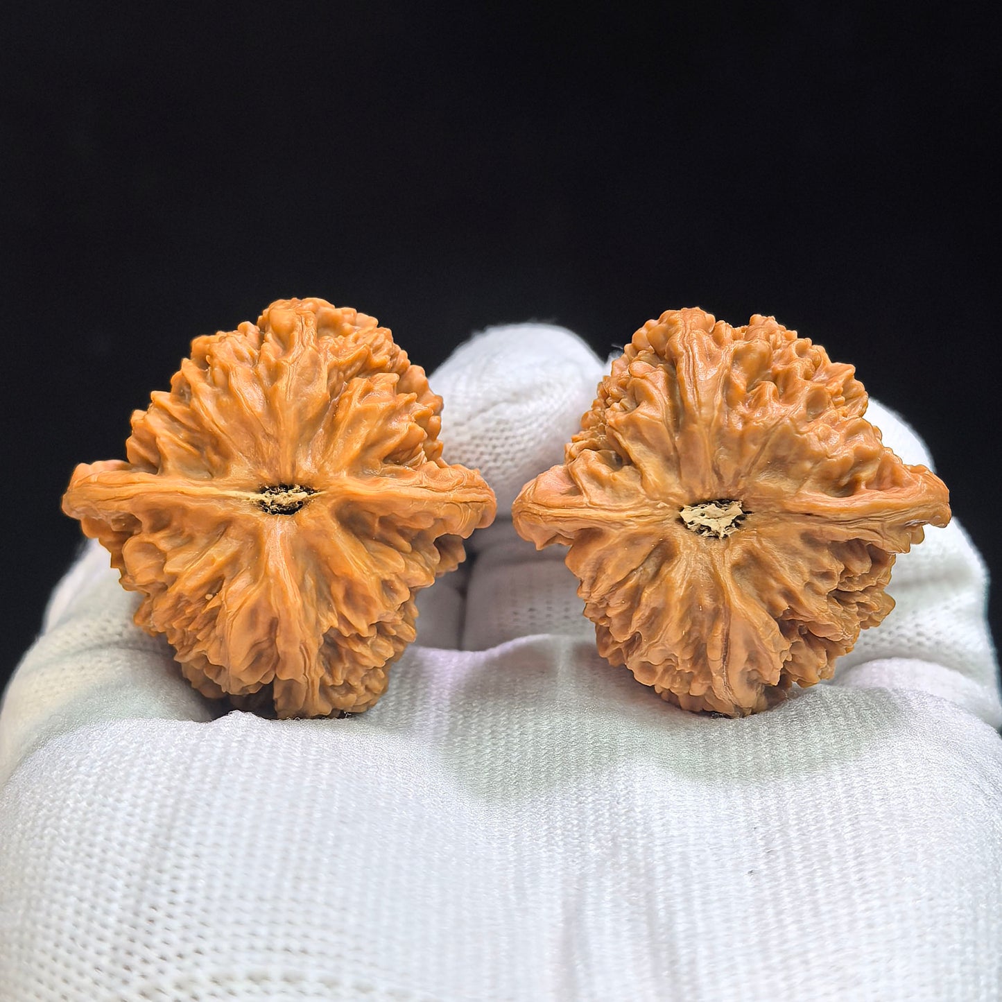 "Taihang Coarse Vein" Taihang Cujin DXCJ-17A4C Low-Profile Wenwan Walnuts Pair | 39.0mm x 39.0mm | DXCJ-17A4C