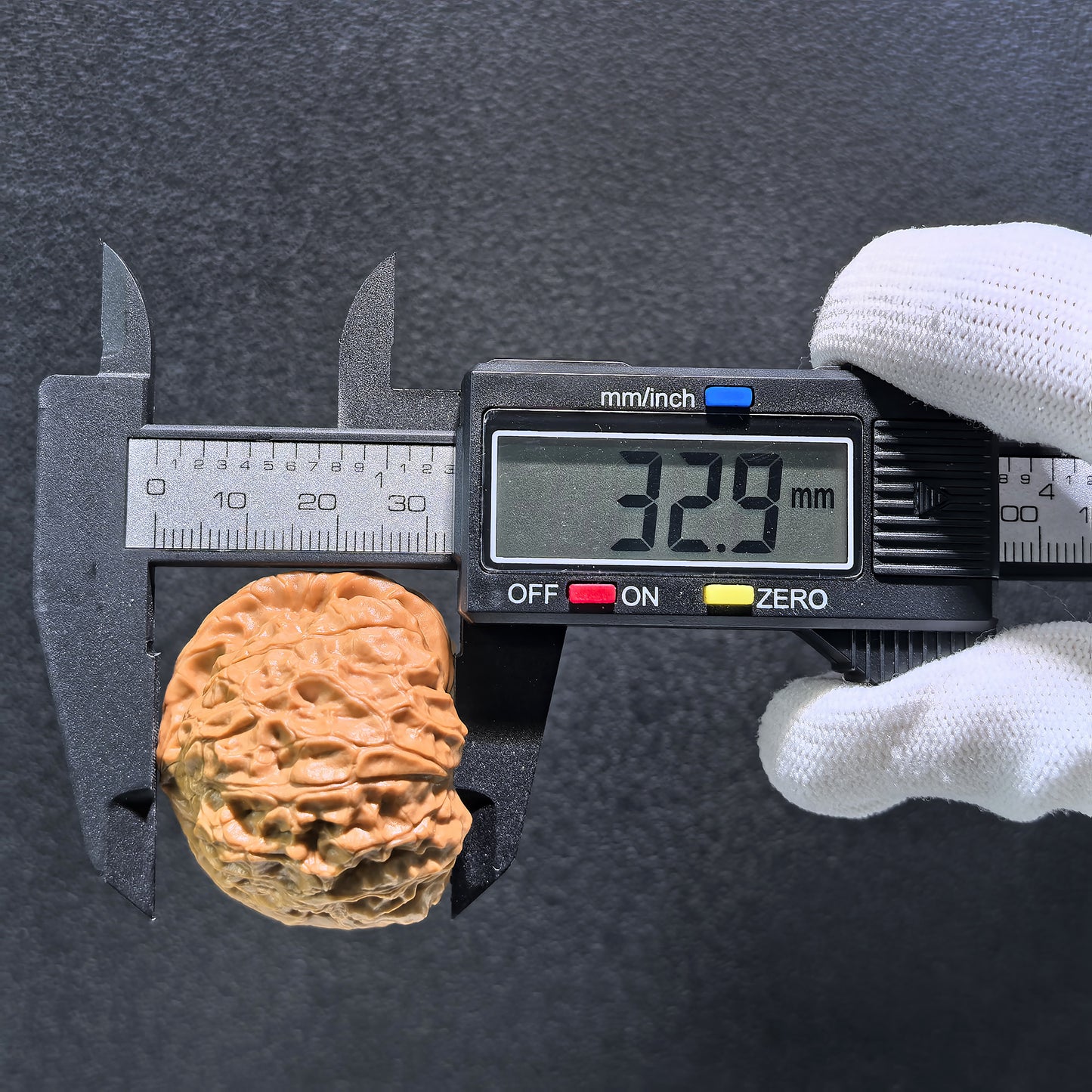 The "Pumpkin Squat" (Nan Gua Dun) Pair | 41.0mm x 43.0mm | NGD-402