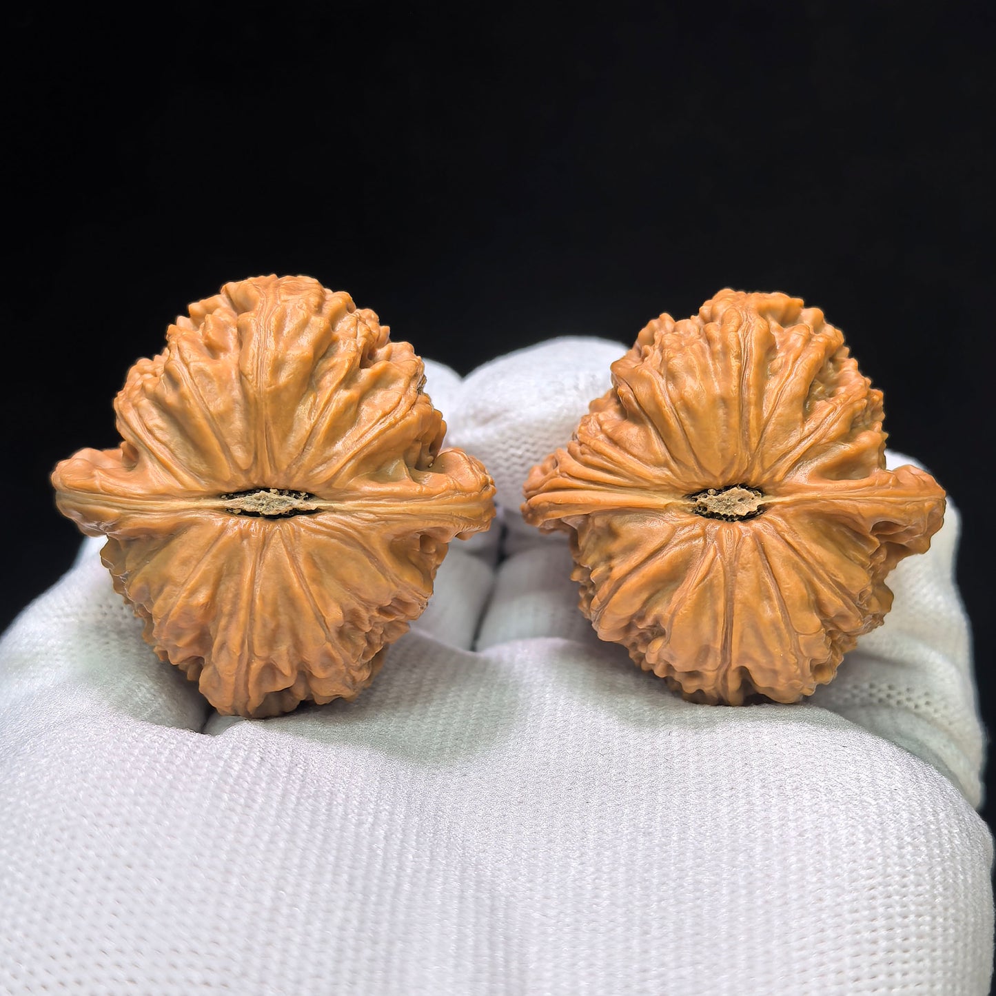"Recessed Apex Spherical White Lion" Menjian Qiuxing Baishizi Low-Profile Wenwan Walnuts Pair | 39.0mm x 39.0mm | BSJ-1505C