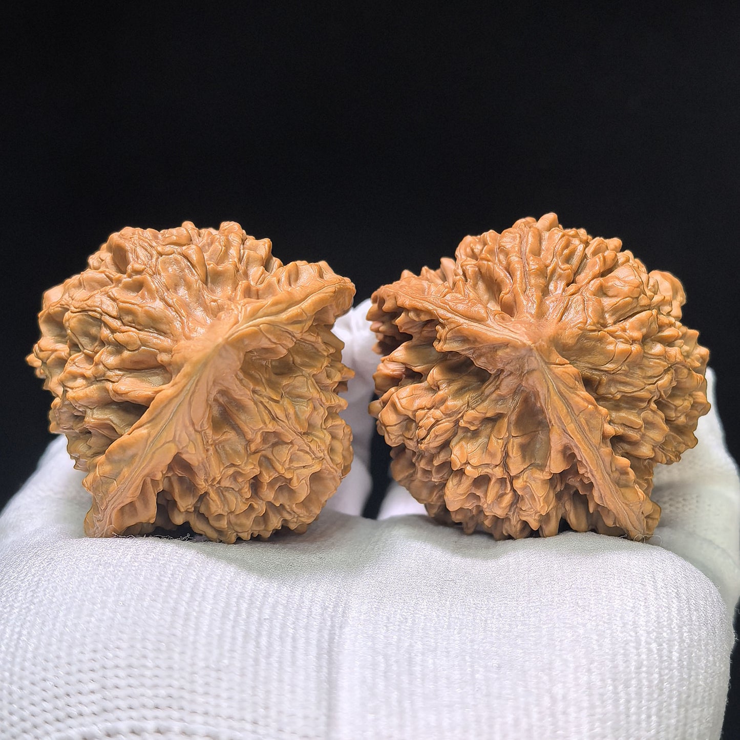 The Monumental "Kylin Pattern Turtle Shell Seated Buddha" Qilinwen Wuguibei Zuofo Collector Piece | 48.0mm x 44.0mm | QLWWGB-401E