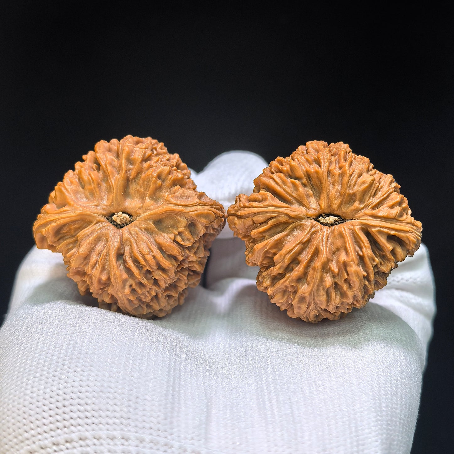 "Triangle Concave Base" Sanjiao Aodi Nanjiangshi Wenwan Walnuts Pair | 41.0mm x 39.0mm | NJS-1514C