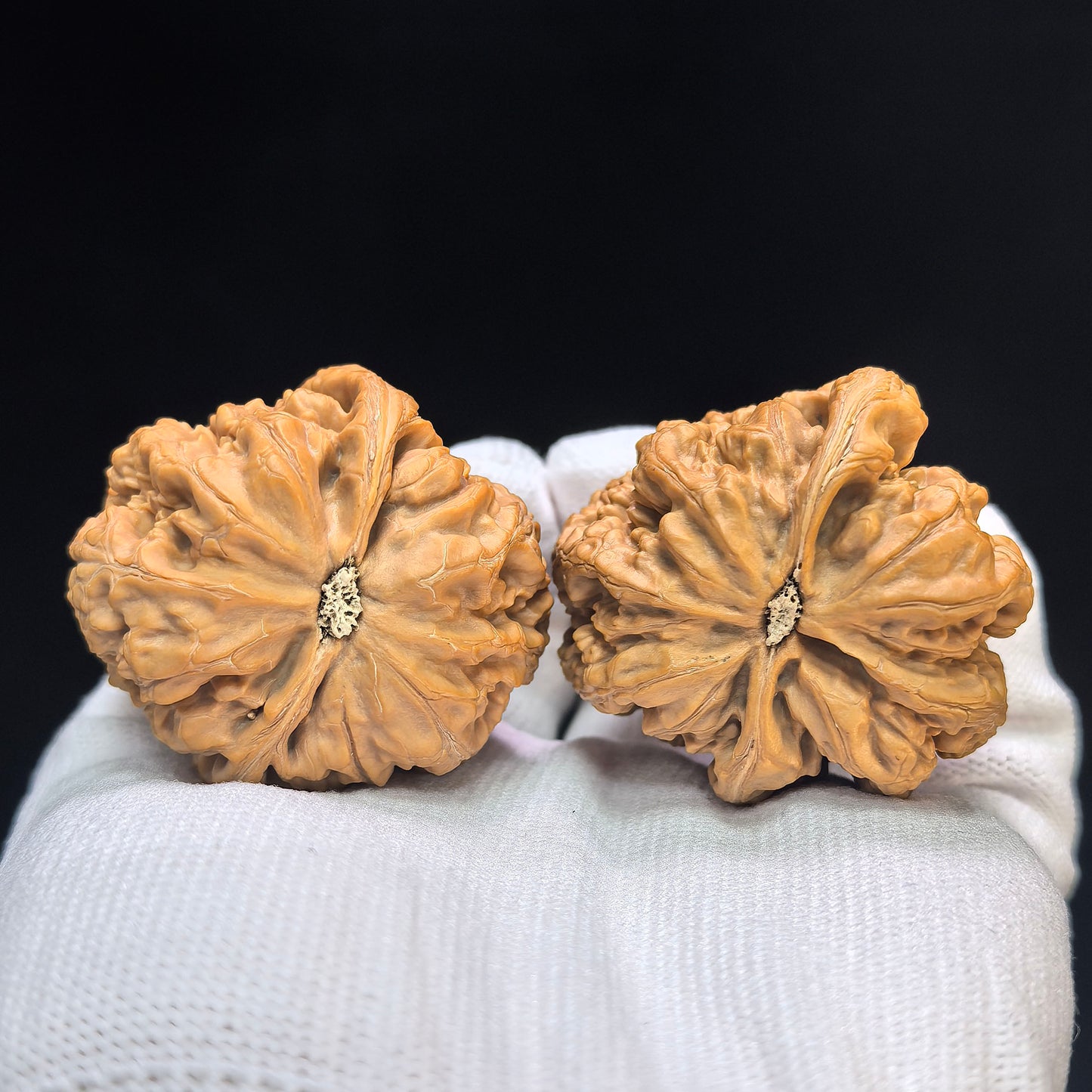 "Large Thick Ridge Vulture" Dacujin Zuoshandiao Wenwan Walnuts Pair | 43.0mm x 43.0mm | CJZSD-C232E