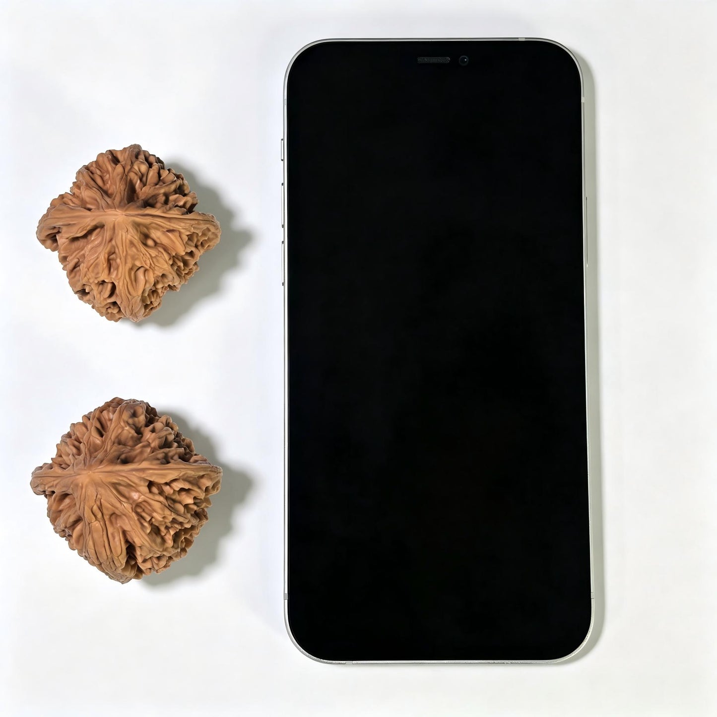 "Beijing Rooster Heart" Beijing Jixin Wenwan Walnuts (Pair) | 41.0mm x 40.0mm | Stock ID: BJJX-1108
