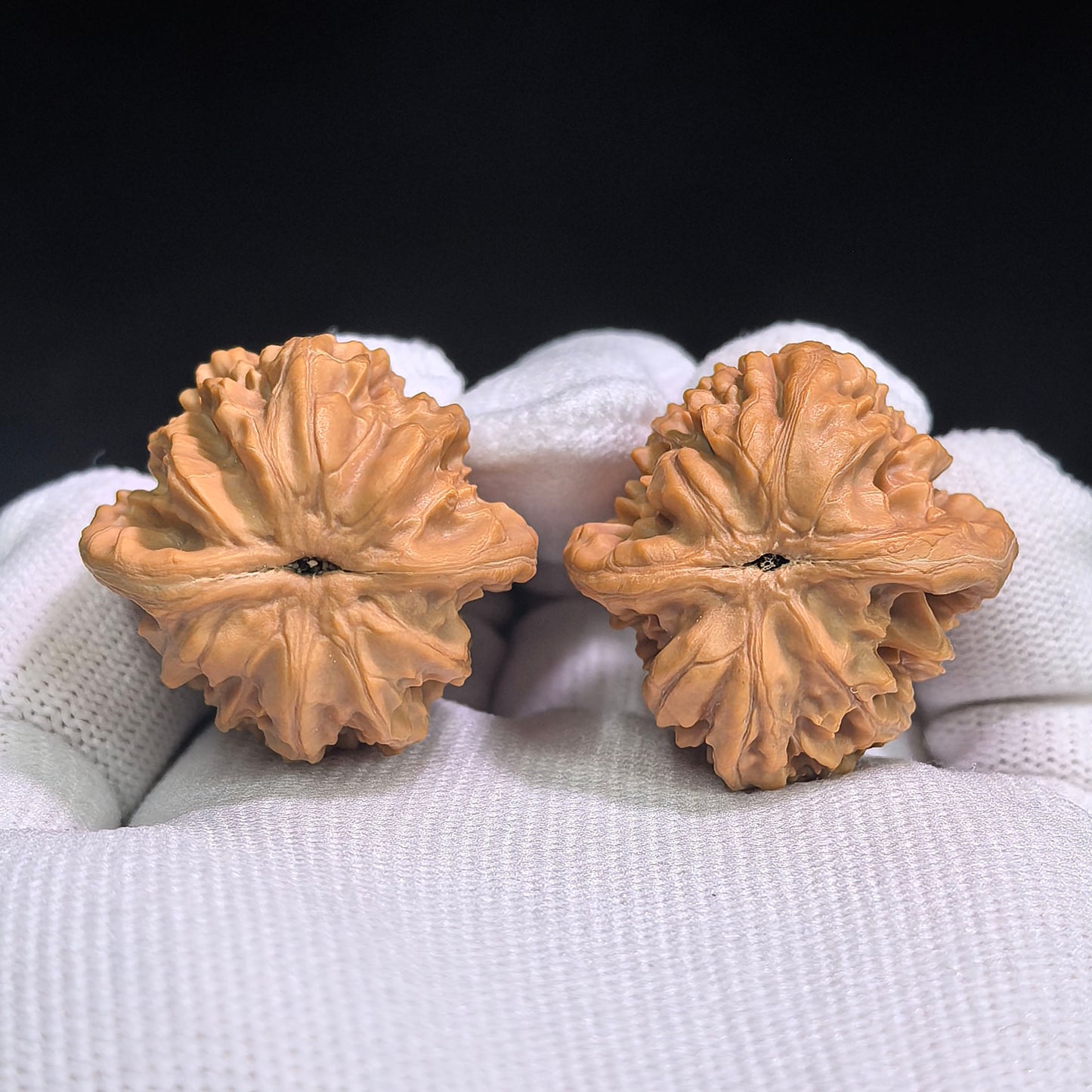 "Beijing Xiayun Ridge" Beijing Xiayunling XYL-SY1A2 Classic Wenwan Walnuts Pair | 32.0mm x 32.0mm | XYL-SY1A2