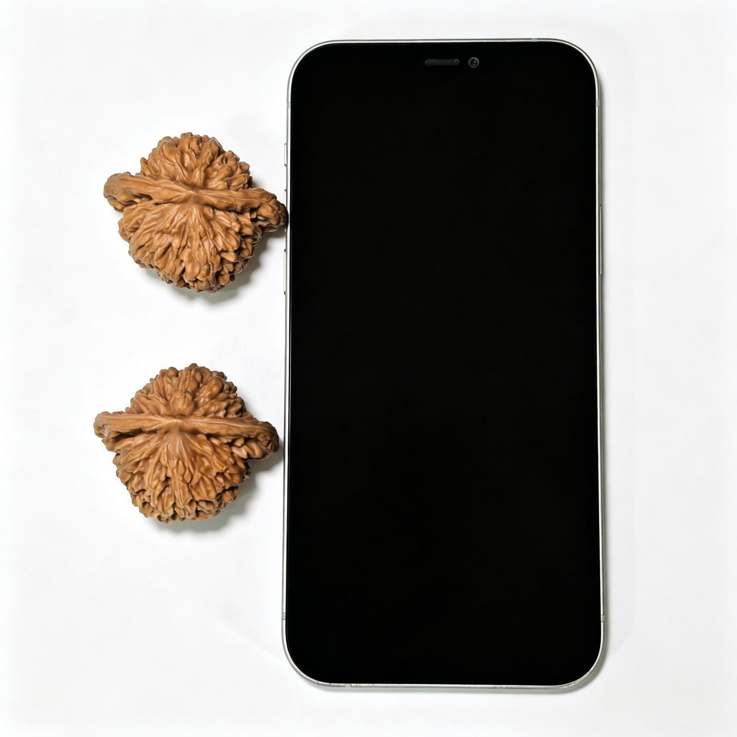 "Four-Tower Pavilion Lionhead" Sizouloutou SZL-1408 Low-Profile Wenwan Walnuts Pair | 40.0mm x 34.0mm | SZL-1408