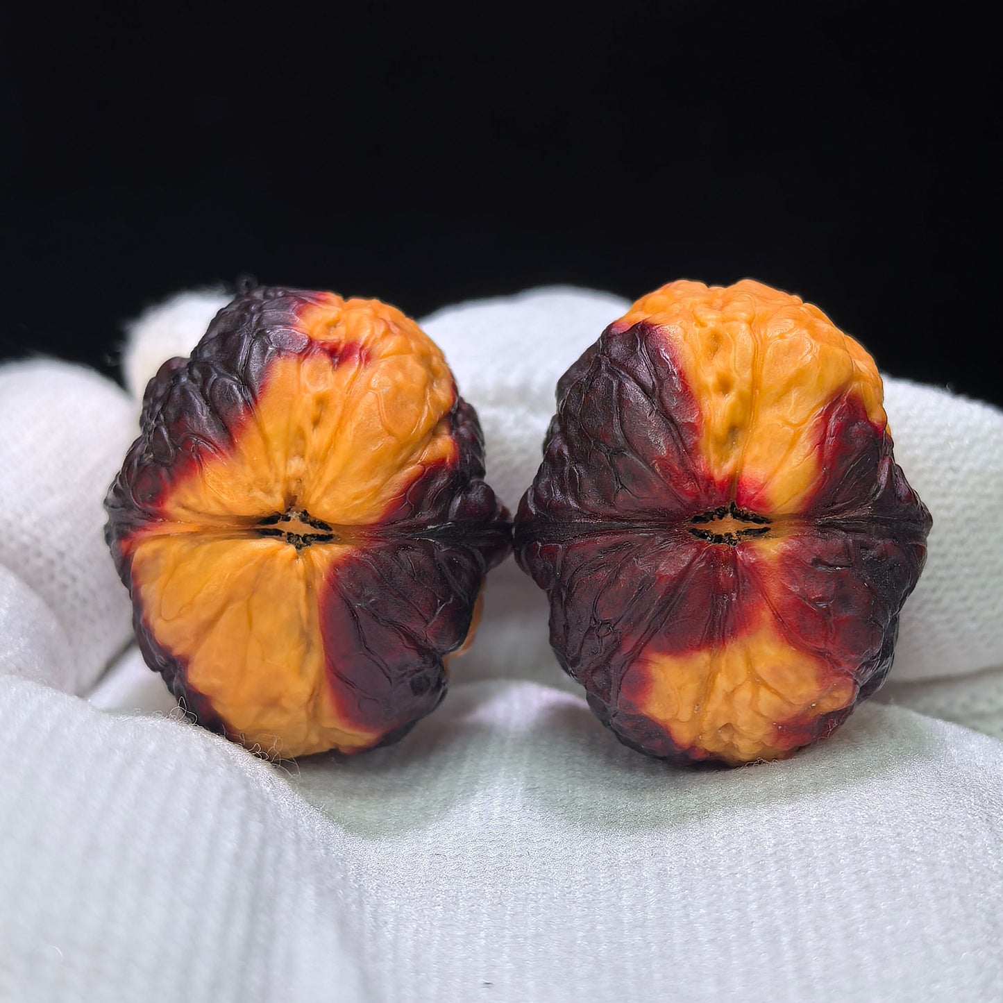 "Earth-Muffled Rainbow Little Flat-Top Toad" (Qi Cai Xiao Ping Tou Chan Di Men) Scholar Walnuts Pair | 25.0mm x 30.0mm | Miniature Pocket Format (Shou Nian) | Stock ID: QCCDM-101SY