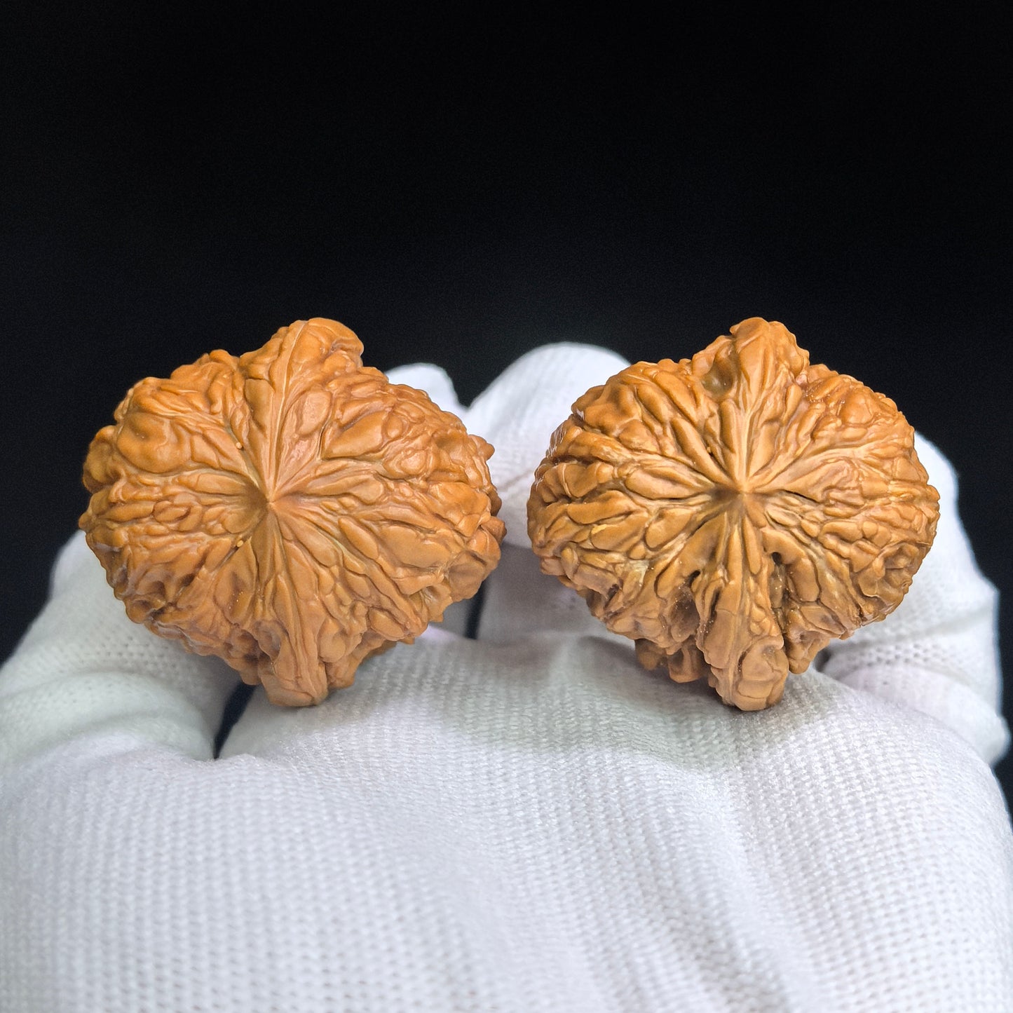 "Mountain Vulture Door Pier" (Mendun Zuo Shan Diao) Scholar Walnuts Pair | 36.0mm x 39.0mm | Deep-Belly Pocket Stance | Collector Grade Masterpiece | Stock ID: MD-SY1E5