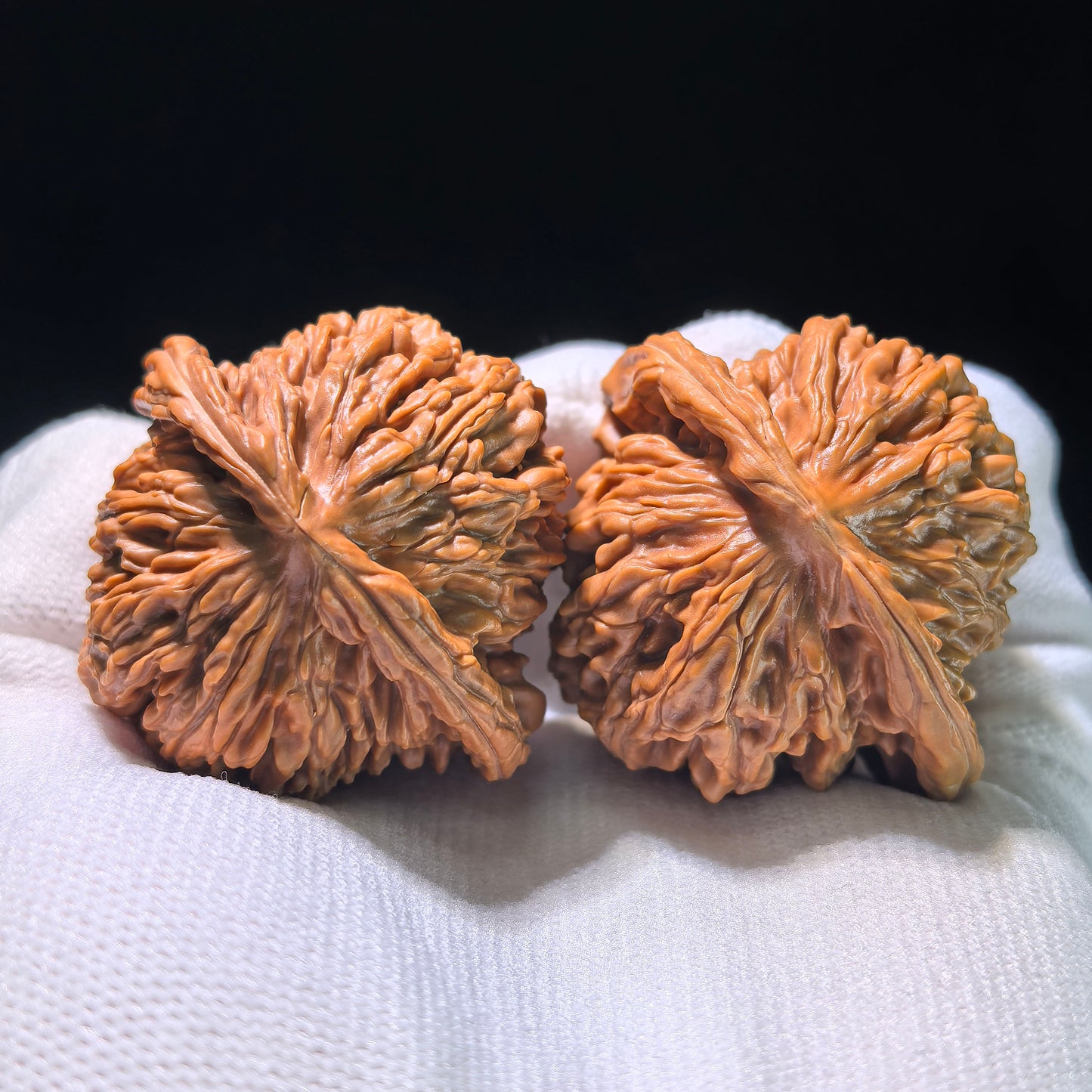 The "Coiled Dragon Pattern" (Pan Long Wen) Colossal Ergonomic Pair | 49.0mm x 45.0mm | PLW-903