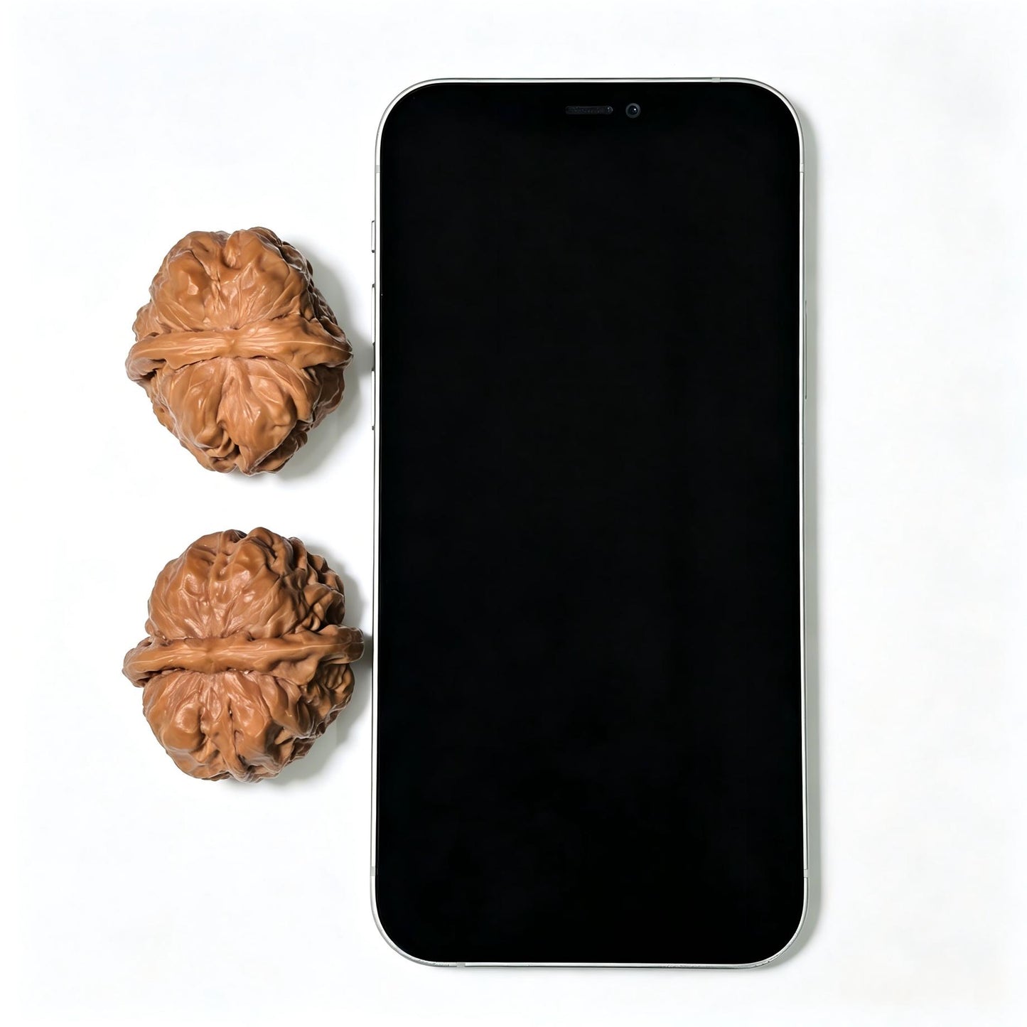 "Toad Head Crippled Foot" Hama Tou Tiancan Jiao W-1407 Low-Profile Wenwan Walnuts Pair | 38.0mm x 41.0mm | W-1407