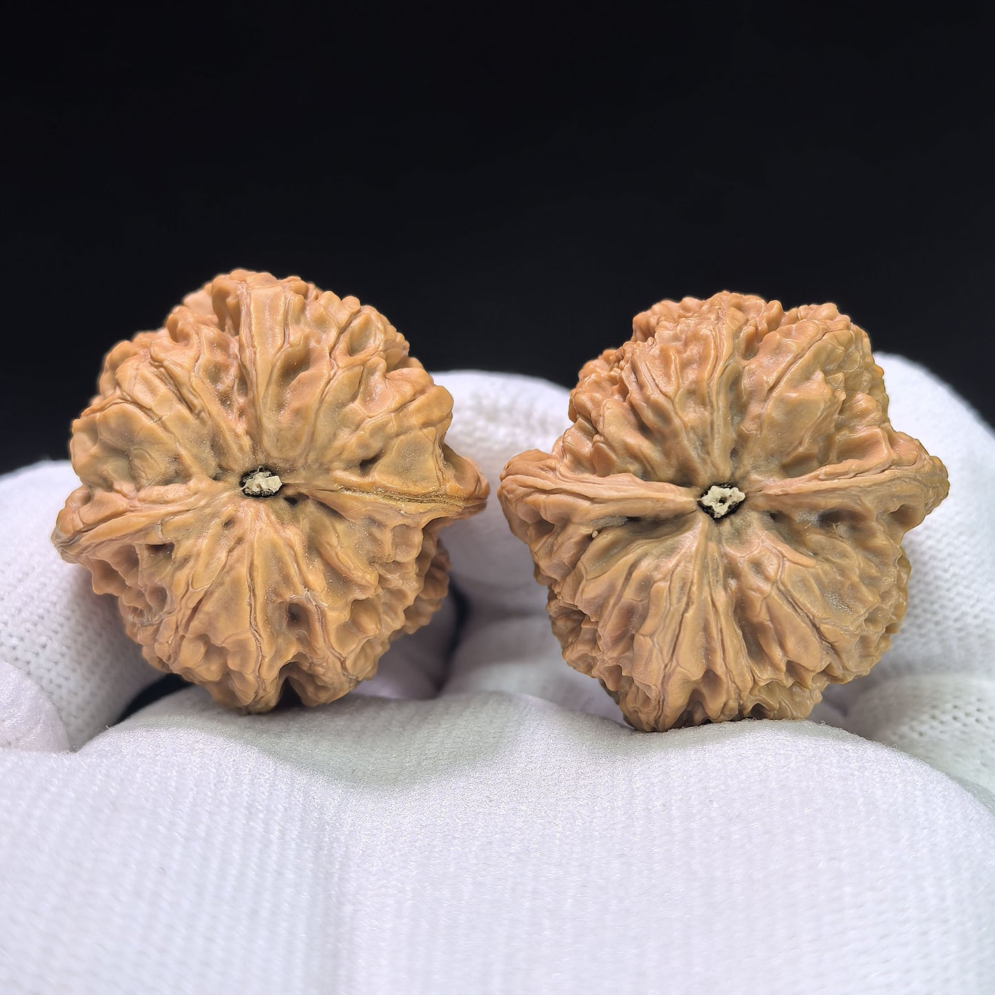 "Rain Flower Stone" Yuhuashi YHS-1106 Low-Profile Wenwan Walnuts Pair | 34.0mm x 34.0mm | YHS-1106