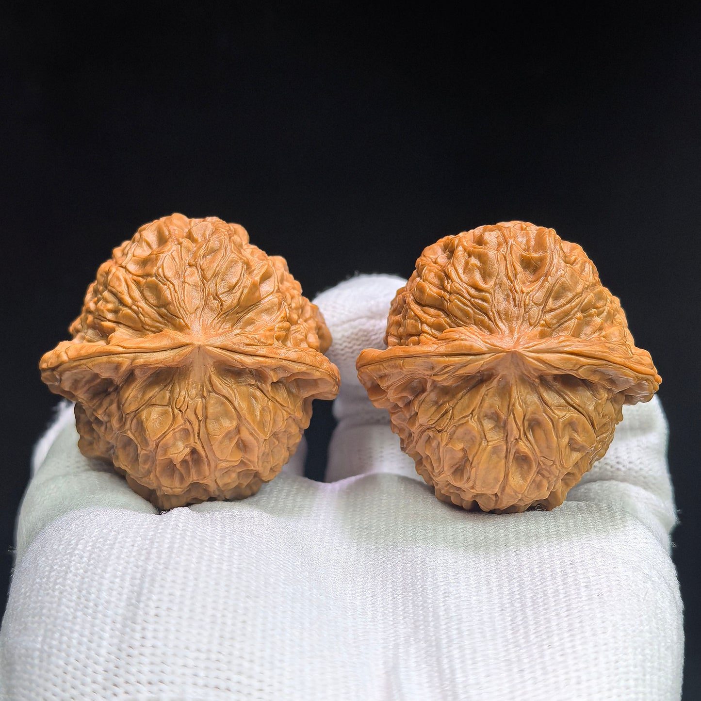"Concave Base Pumpkin Dun" Aodi Nanguadun BDNGD-17G5 Low-Profile Wenwan Walnuts Pair | 43.0mm x 43.0mm | BDNGD-17G5