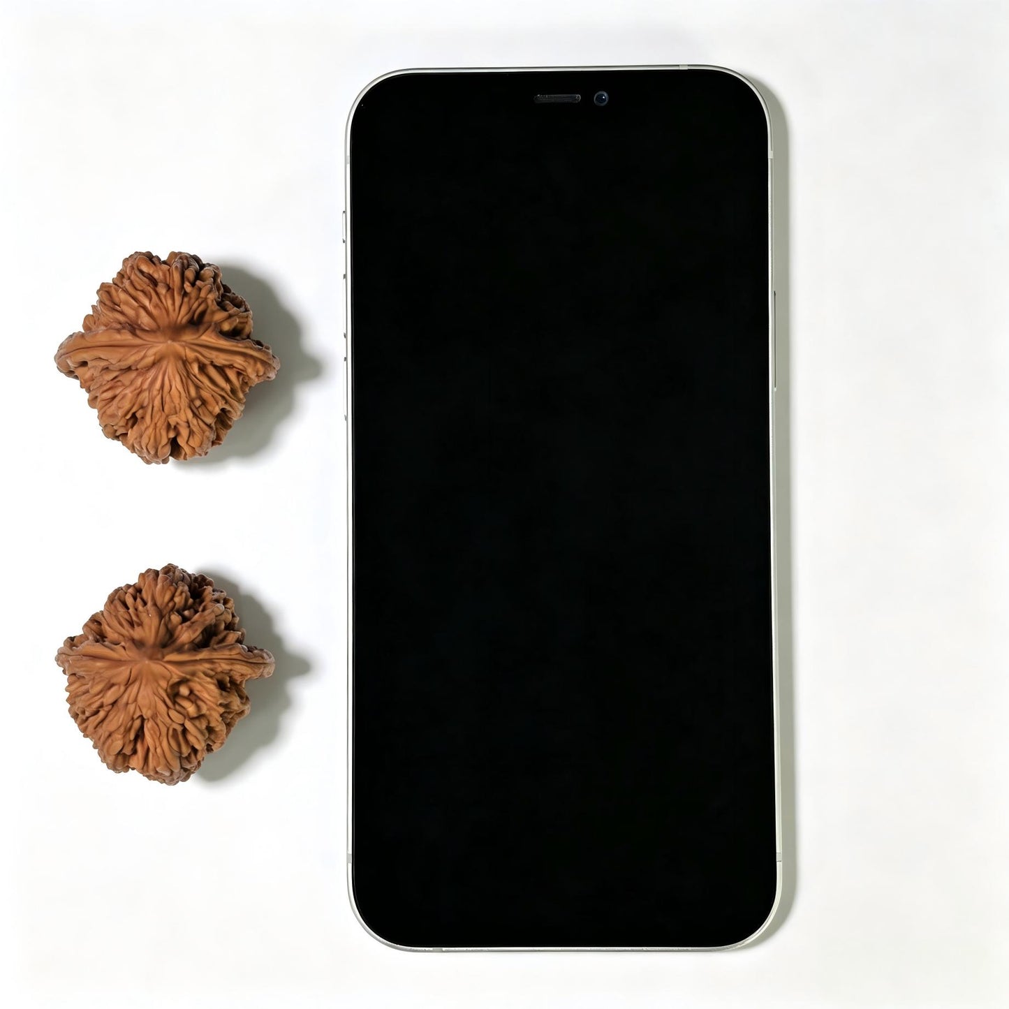 "Wild Cultivar" Yesheng Wenwan Walnuts (Pair) | 34.0mm x 36.0mm | Stock ID: YS-1101
