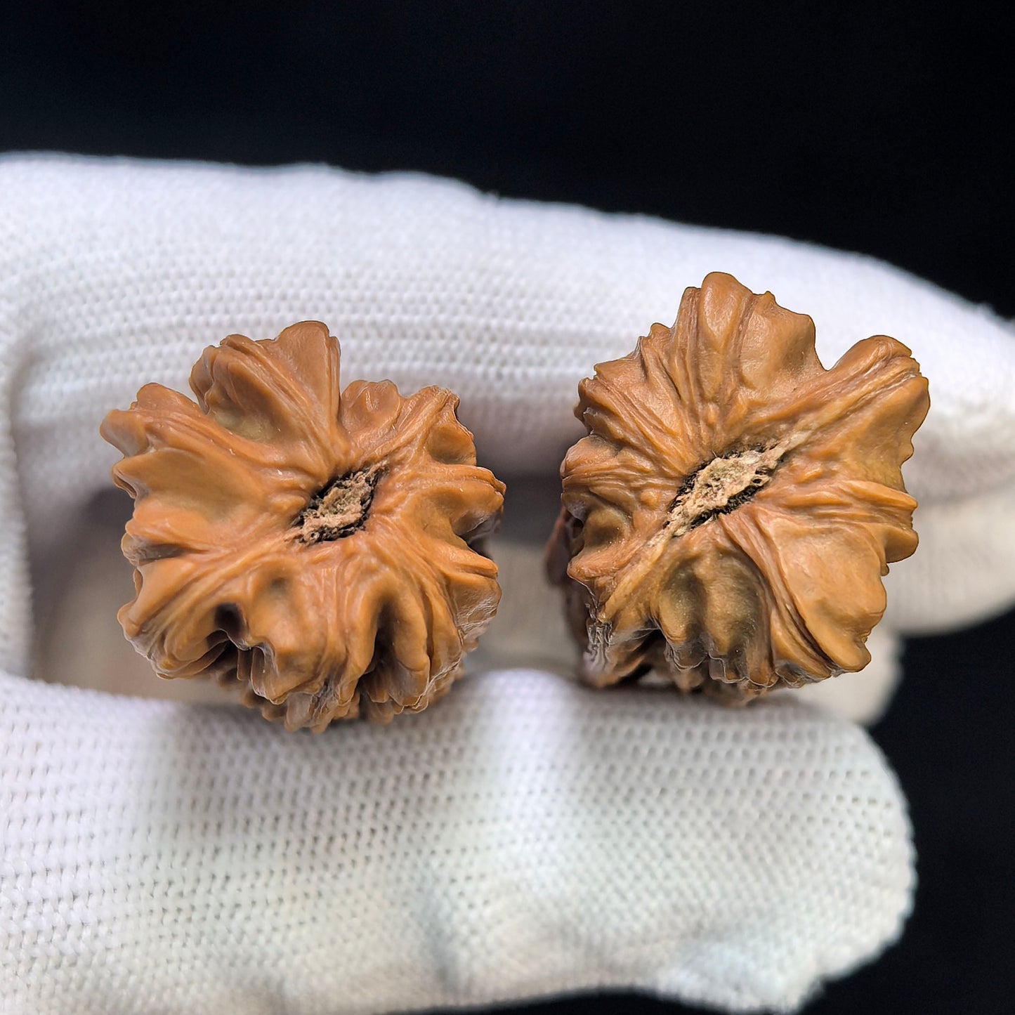 "Gold Bar" Jintiao Pocket Spinner Wenwan Walnuts Pair | 22.0mm x 22.0mm | JT-C239E