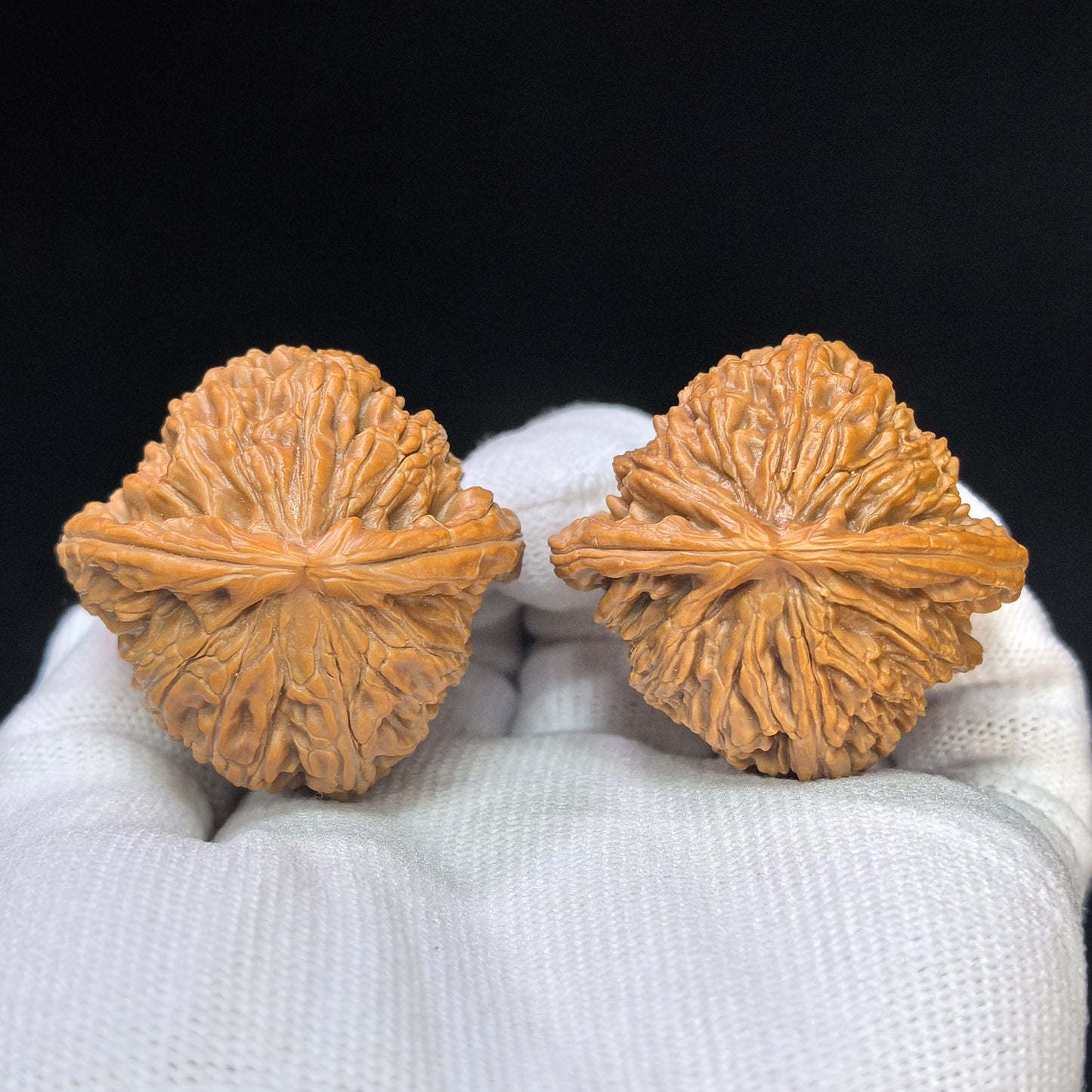 "Heart-Shaped Concave Base White Lion" Aodi Xinxing Baishizi Low-Profile Wenwan Walnuts Pair | 38.0mm x 37.0mm | BSJ-SY1F2