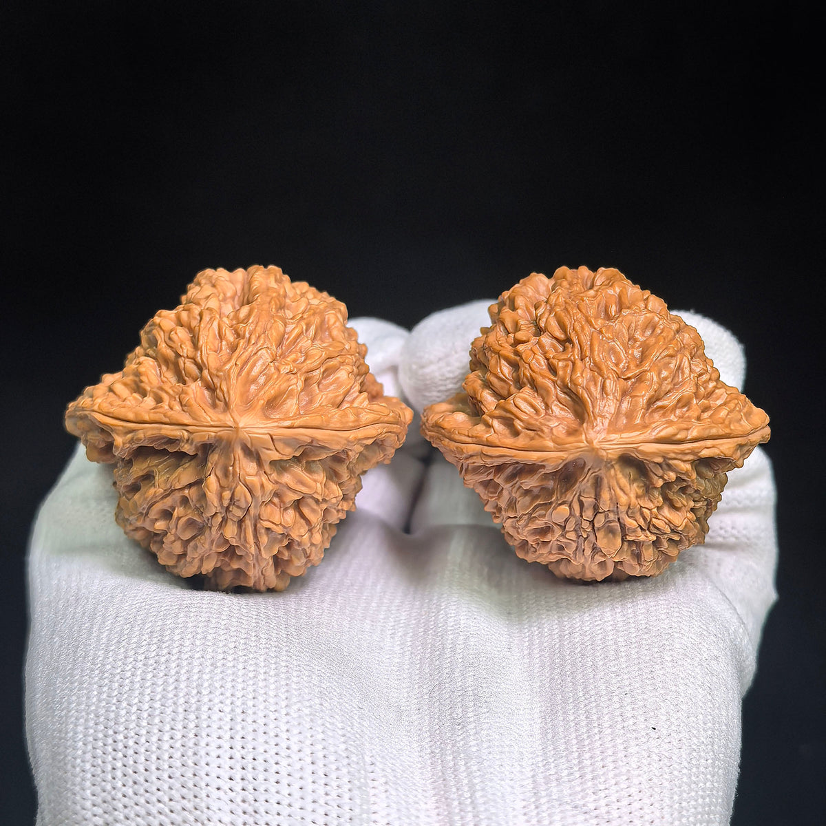 Wild-Form “Golden-Maned Lion King / Tian Can Jiao” Wenwan Walnut Pair — 46.0mm x 43.0mm | JMSW-C1E4E