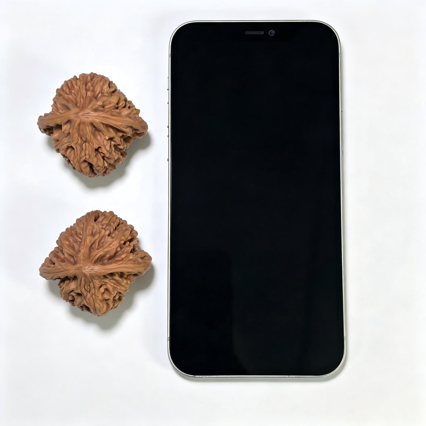 "Beijing Chicken Heart" Beijing Jixin BJJX-1109 Wenwan Walnuts Pair | 42.0mm x 41.0mm | BJJX-1109