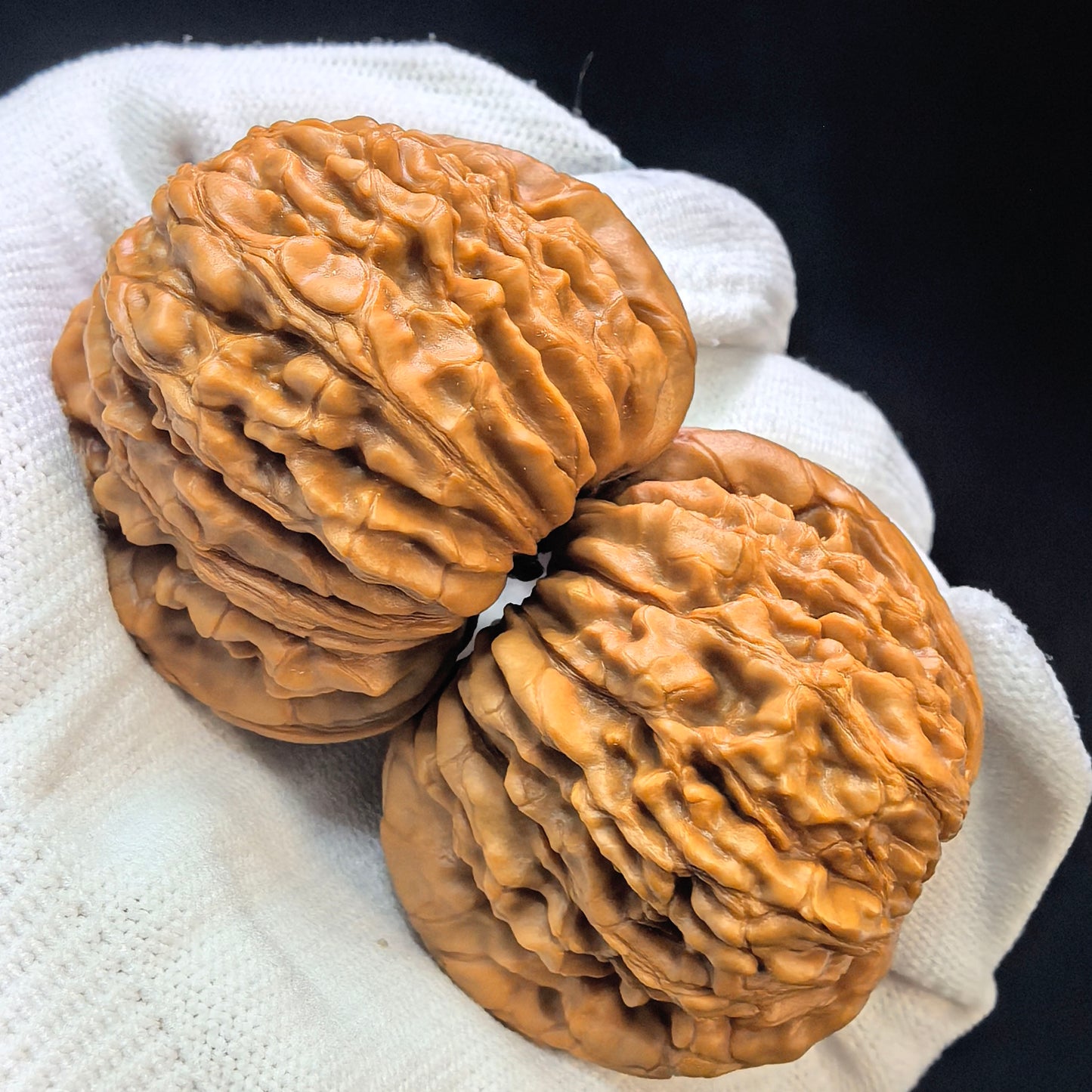 "Butterfly Huakun Dragon" Hudie Huakunlong Low-Profile Wenwan Walnuts Pair | 48.0mm x 46.0mm | HKL-1506C