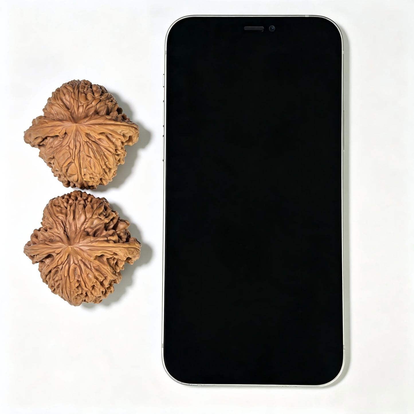 "Spherical Nanjiangshi Lionhead" Qiuxing Nanjiangshi NJS-1501C Low-Profile Wenwan Walnuts Pair | 44.0mm x 44.0mm | NJS-1501C
