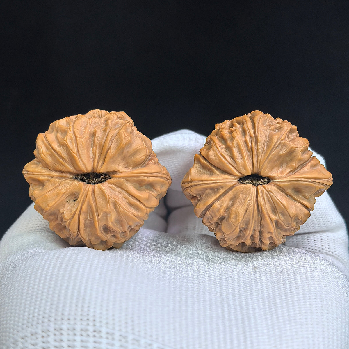 Compact Round-Bodied “Da Tuanyuan” Wenwan Walnut Pair — 39.0mm x 37.0mm | DTY-SY1H8