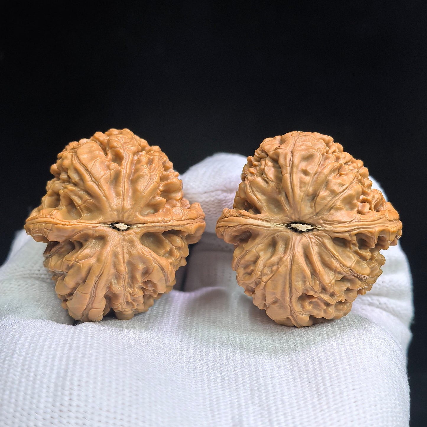 "Red Koi" Hongjinli HJL-17B1C Low-Profile Wenwan Walnuts Pair | 39.0mm x 42.0mm | HJL-17B1C