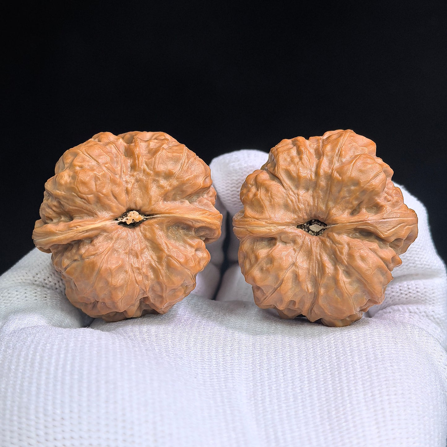 "Toad Head" Hamatou HMT-SY1G5 Classic Wenwan Walnuts Pair | 37.0mm x 37.0mm | HMT-SY1G5