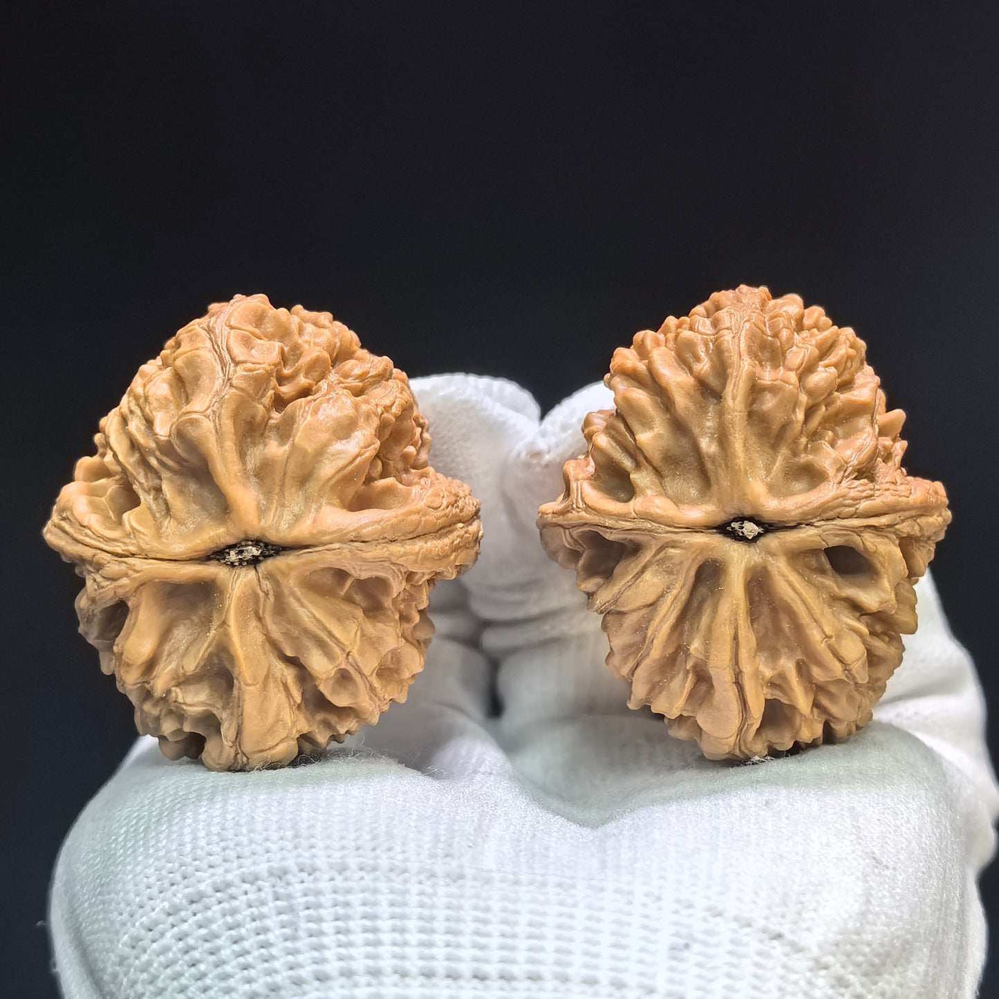 "Dagu Stone" Dagu Shi DGS-1601 Tall-Profile Wenwan Walnuts Pair | 39.0mm x 45.0mm | DGS-1601