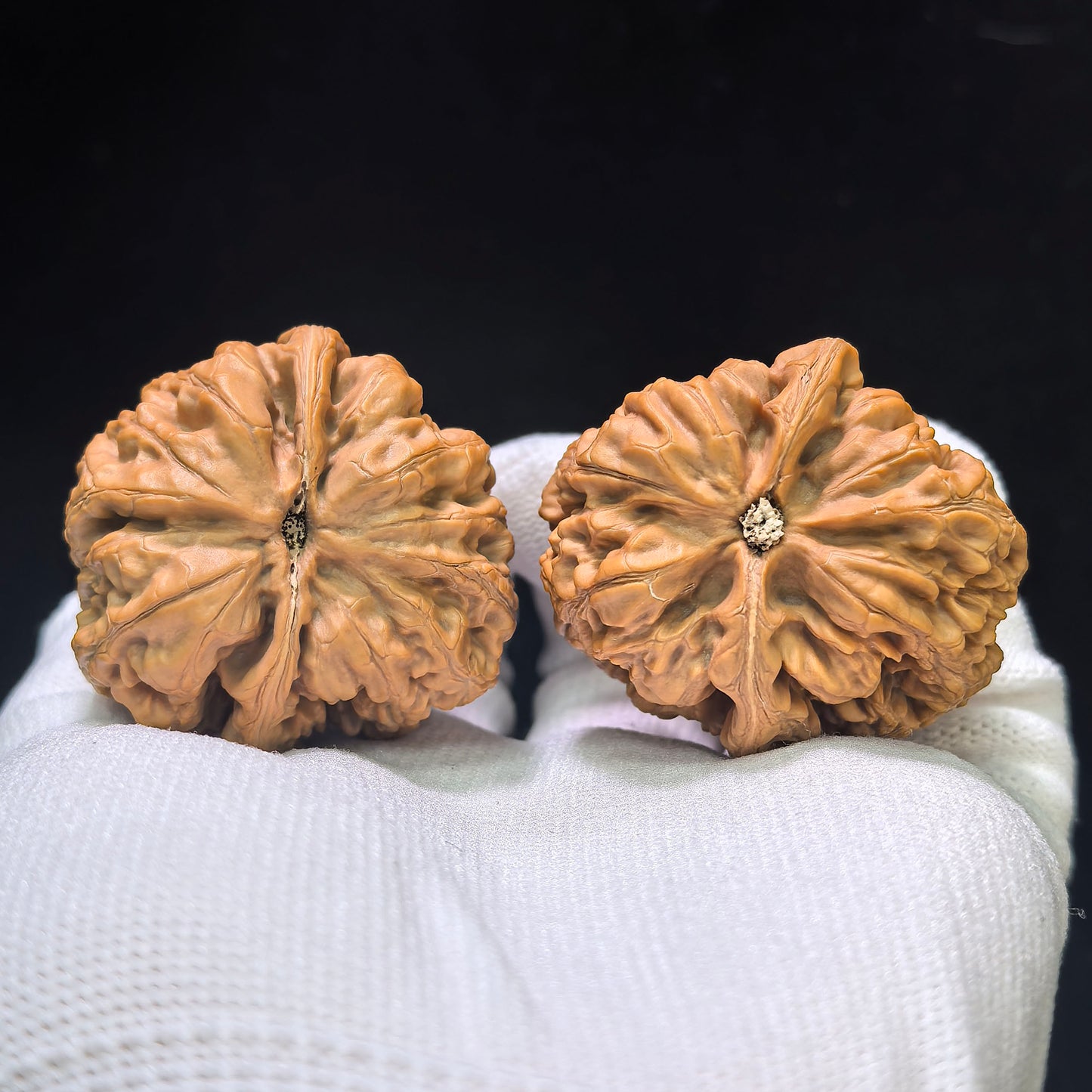 "Thick Ridge Lord of the Mountain Half-Wall" Cujin Zashandiao Banbi Wenwan Walnuts Pair | 39.0mm x 41.0mm | CJZSDBB-CG215E