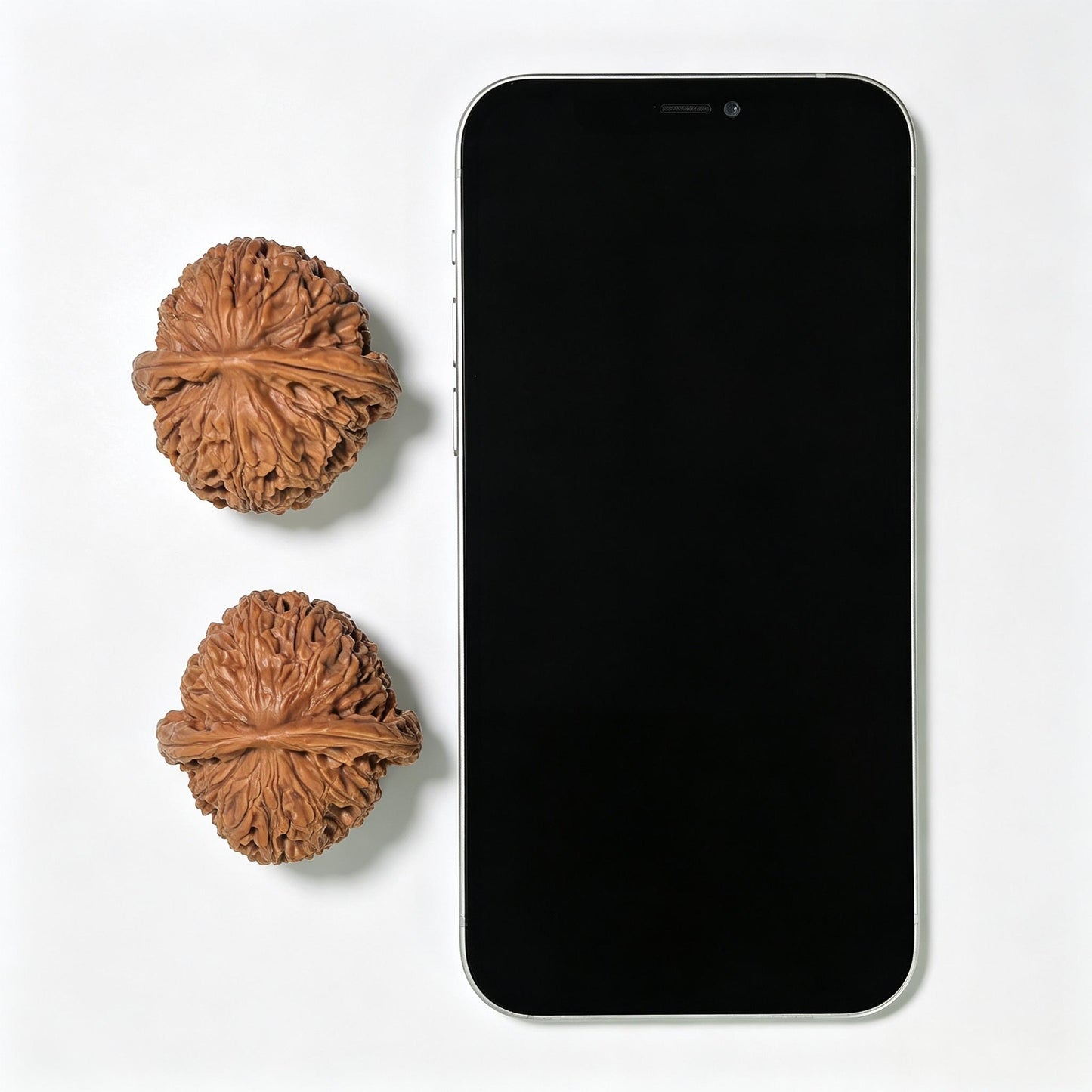 "Water Dragon Texture" Shuilongwen SLW-1501C Low-Profile Wenwan Walnuts Pair | 40.0mm x 41.0mm | SLW-1501C