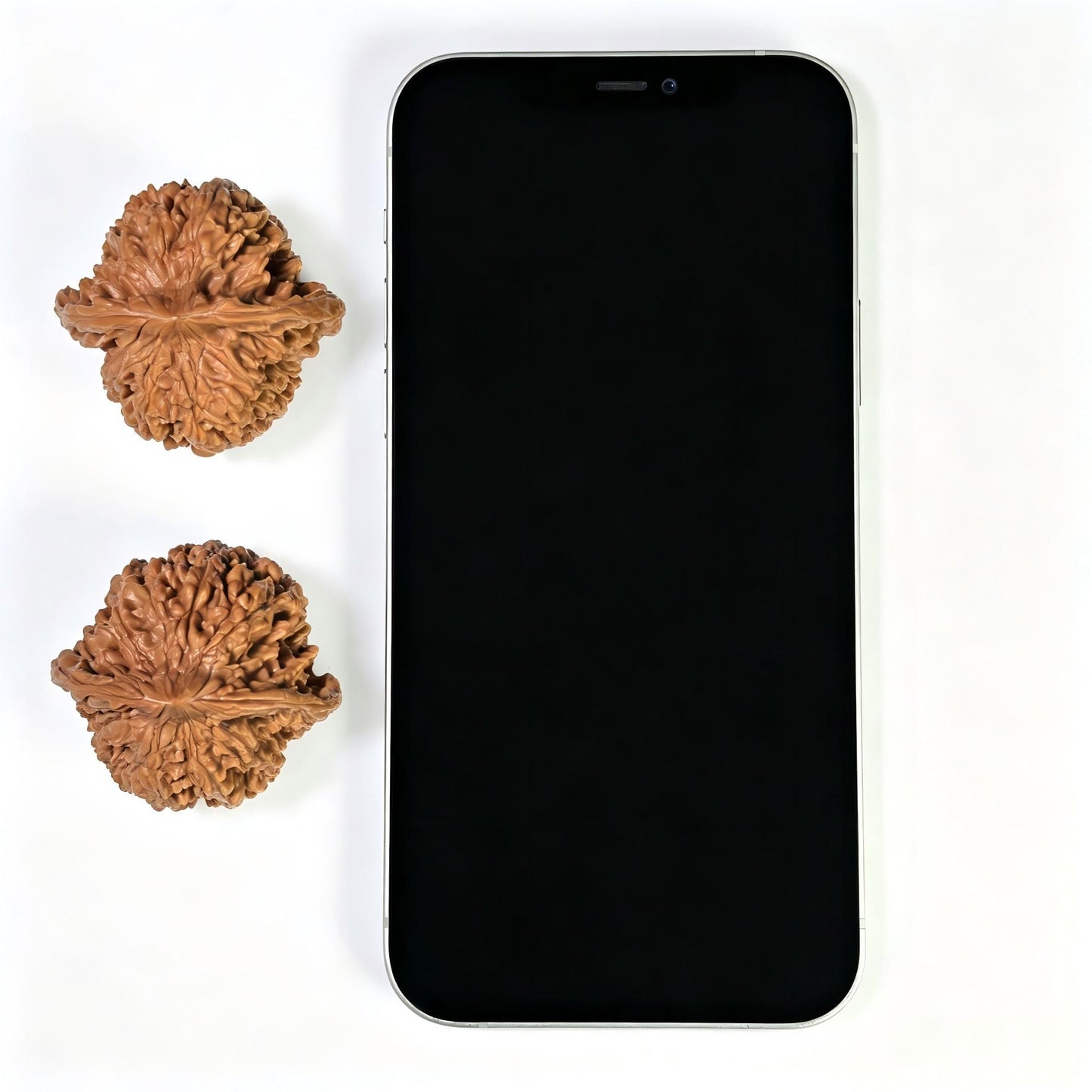 "Starry Sky" Mantianxing Wenwan Walnuts Pair | 42.0mm x 40.0mm | MTX-1106