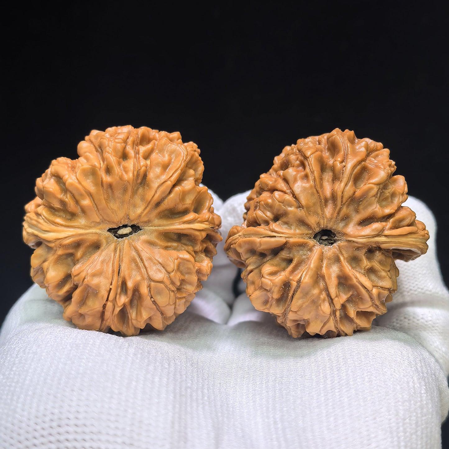 "Chubby Pier" Mendun Wenwan Walnuts Pair | 42.0mm x 45.0mm | MD-1501C
