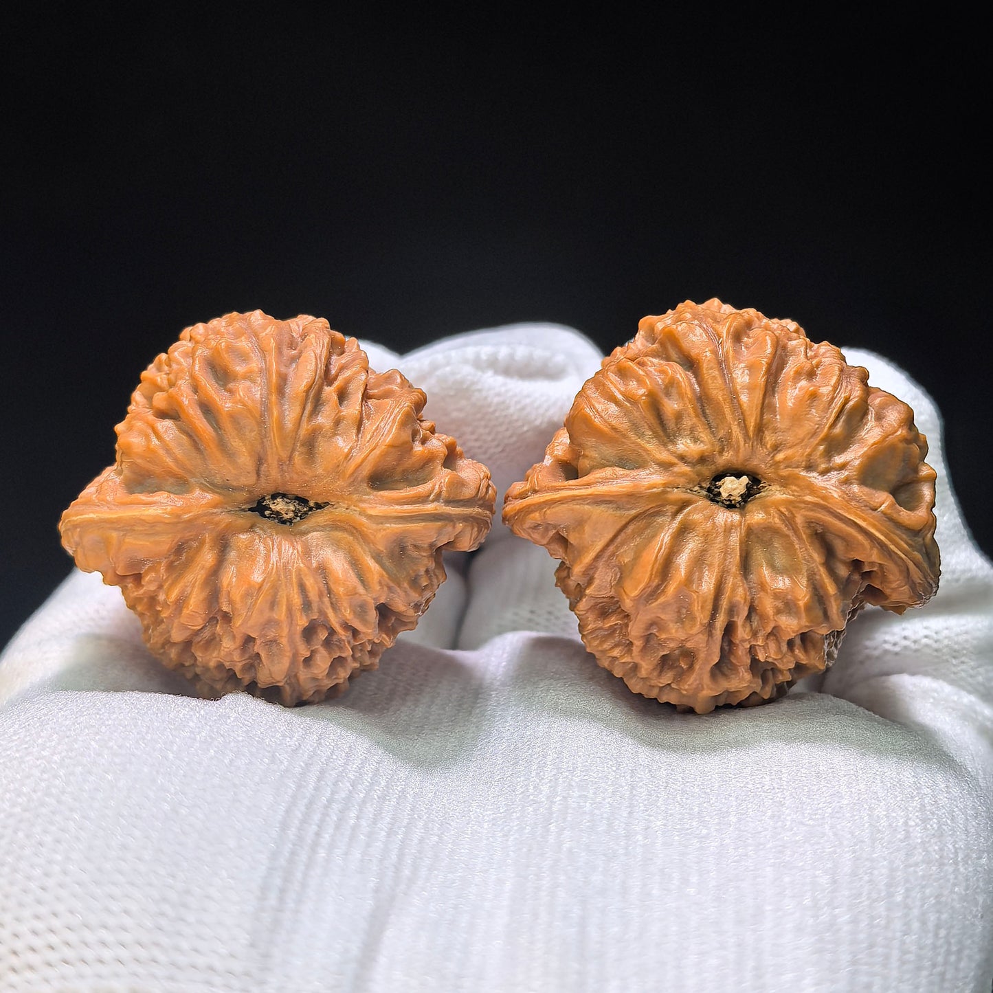 Triangle Concave-Base Nanjiangshi Scholar Walnuts Pair | Premium Select 38.0mm x 37.0mm | Classic Low-Profile Format | Stock ID: NJS-1513C
