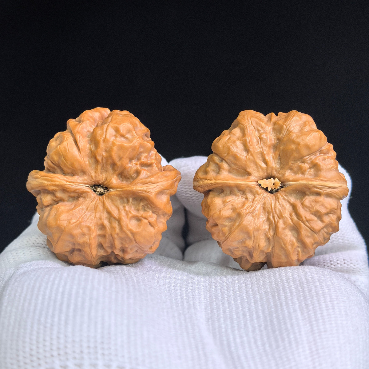 Compact Broad-Shouldered Hamatou Wenwan Walnut Pair | 39.0mm x 40.0mm | HMT-SY1G8