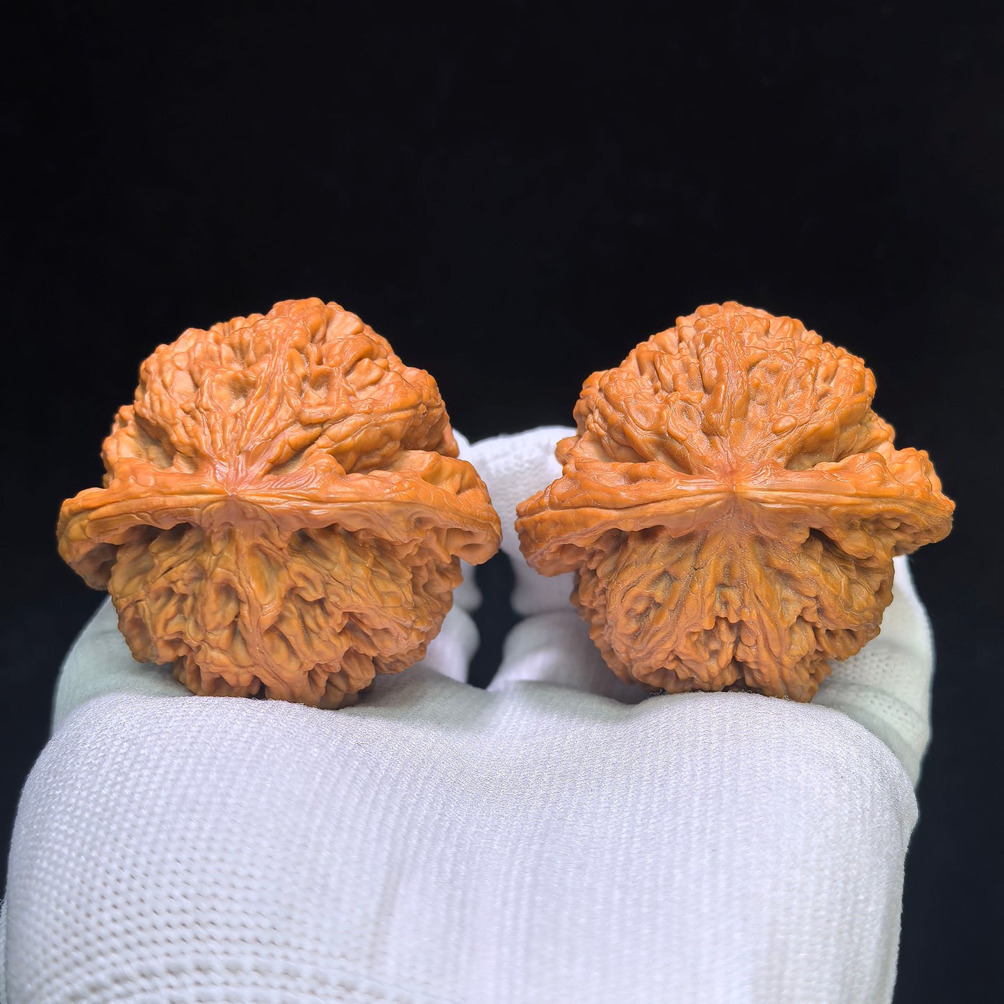 "Large Thick Rib" Dacujin Wenwan Walnuts Pair | 48.0mm x 47.0mm | DCJ-1551C
