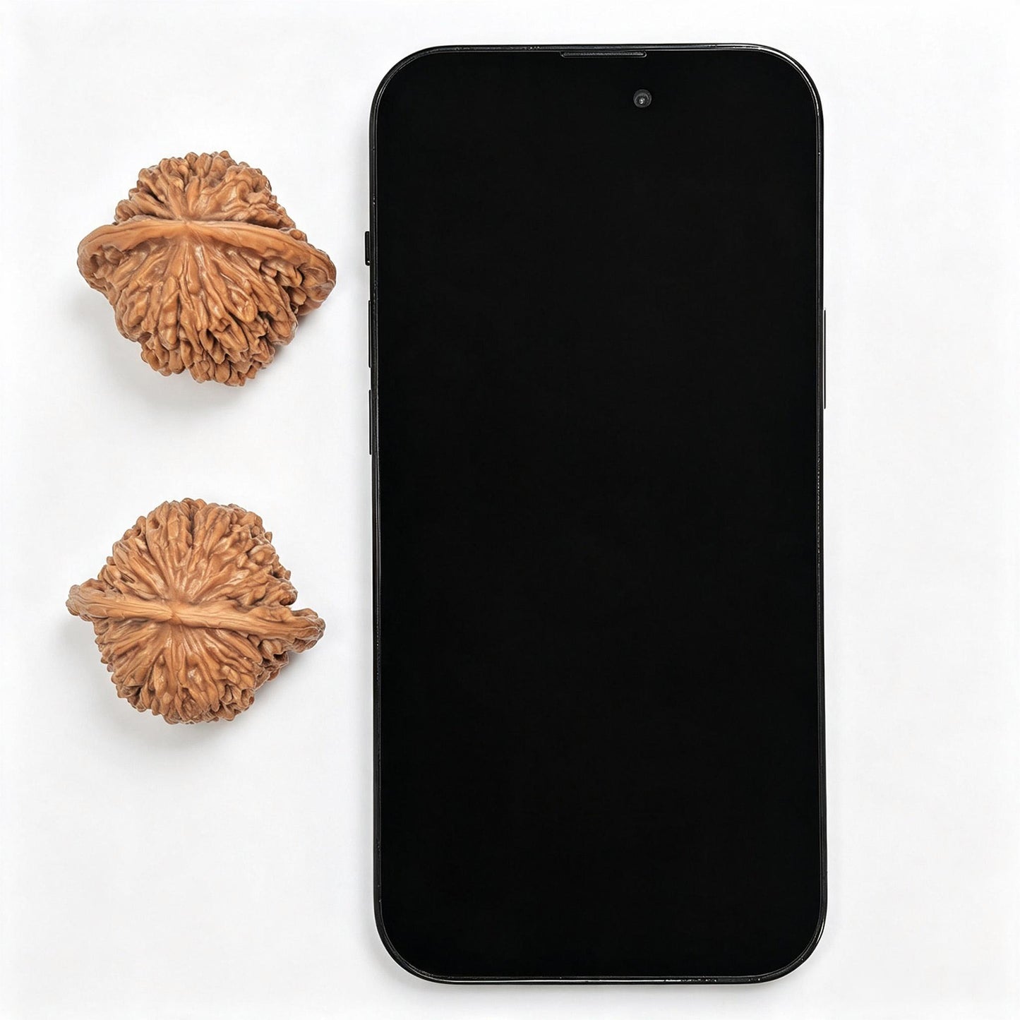 "Han High Tower" Hangao Lou HGL-SY1A3 Low-Profile Wenwan Walnuts Pair | 39.0mm x 34.0mm | HGL-SY1A3