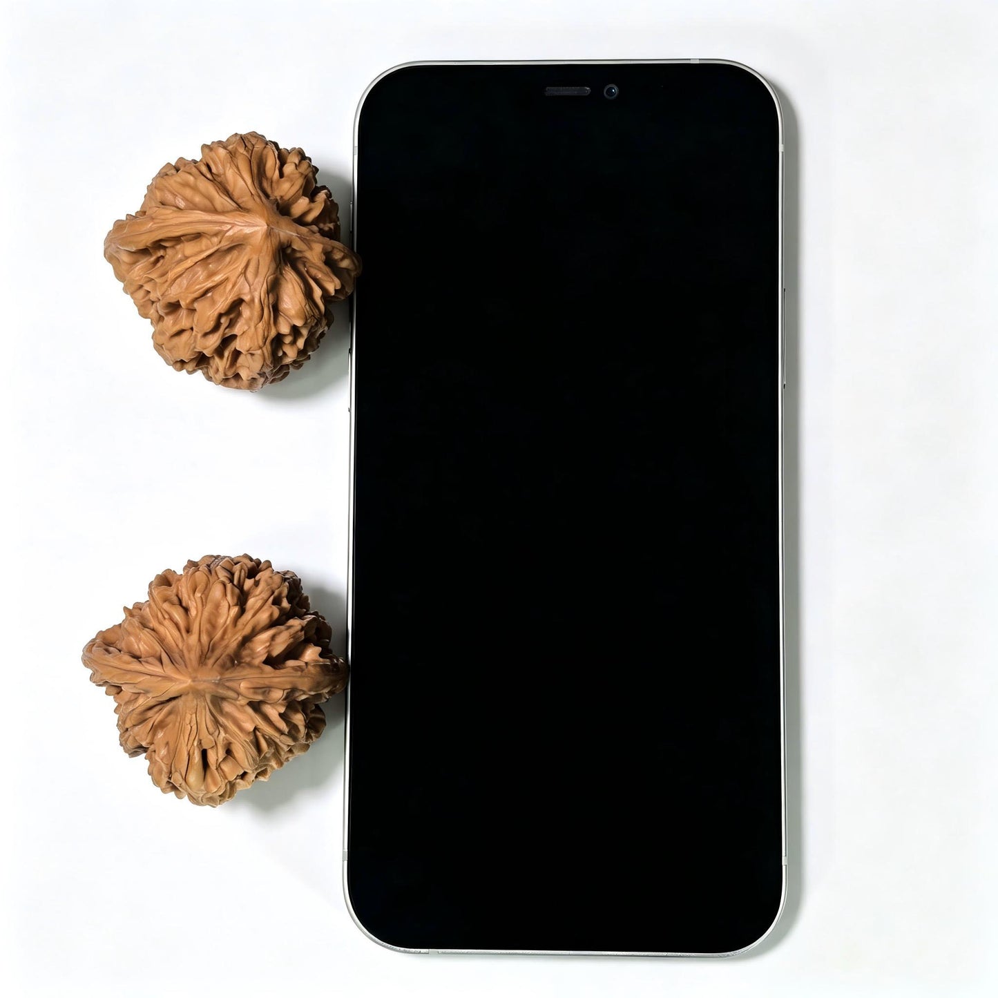 "Beijing Chicken Heart" Beijing Jixin BJJX-1403 Classic Wenwan Walnuts Pair | 41.0mm x 39.0mm | BJJX-1403
