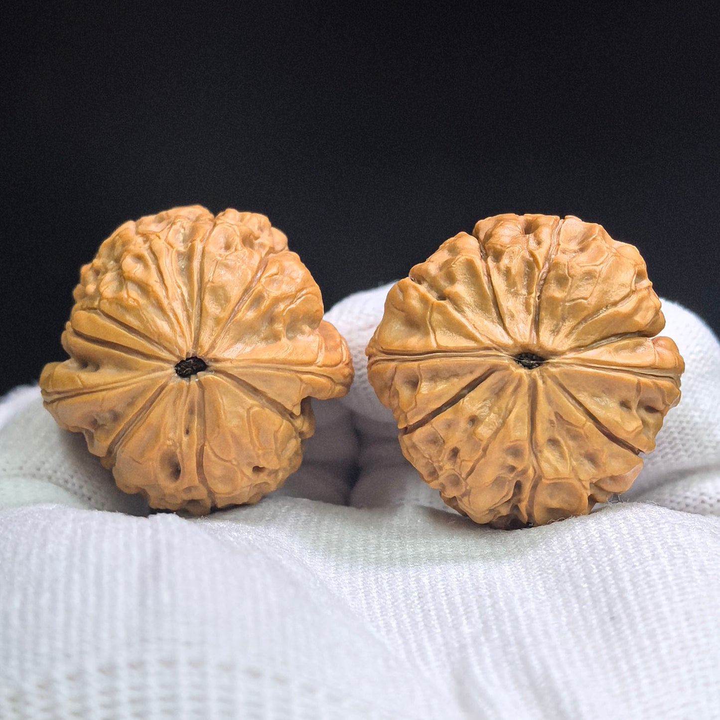 "Oracle Bone Script" Jiaguwen JGW-17B7C Low-Profile Wenwan Walnuts Pair | 35.0mm x 35.0mm | JGW-17B7C