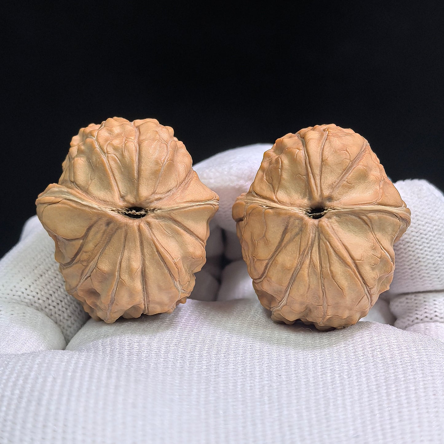 "Twin-Fruit Half-Wall Turtle Shell Grain" Guijiawen Tongguo Banbi Kucha GJW-SY1A0 Classic Wenwan Walnuts Pair | 31.0mm x 34.0mm | GJW-SY1A0