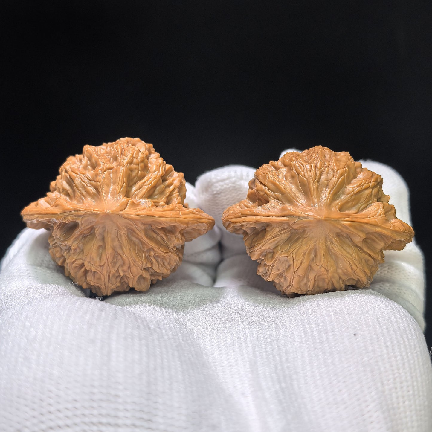 "Shaanxi Official Hat" Shaanxi Guanmao Wenwan Walnuts Pair | 43.0mm x 35.0mm | SXGM-01SY
