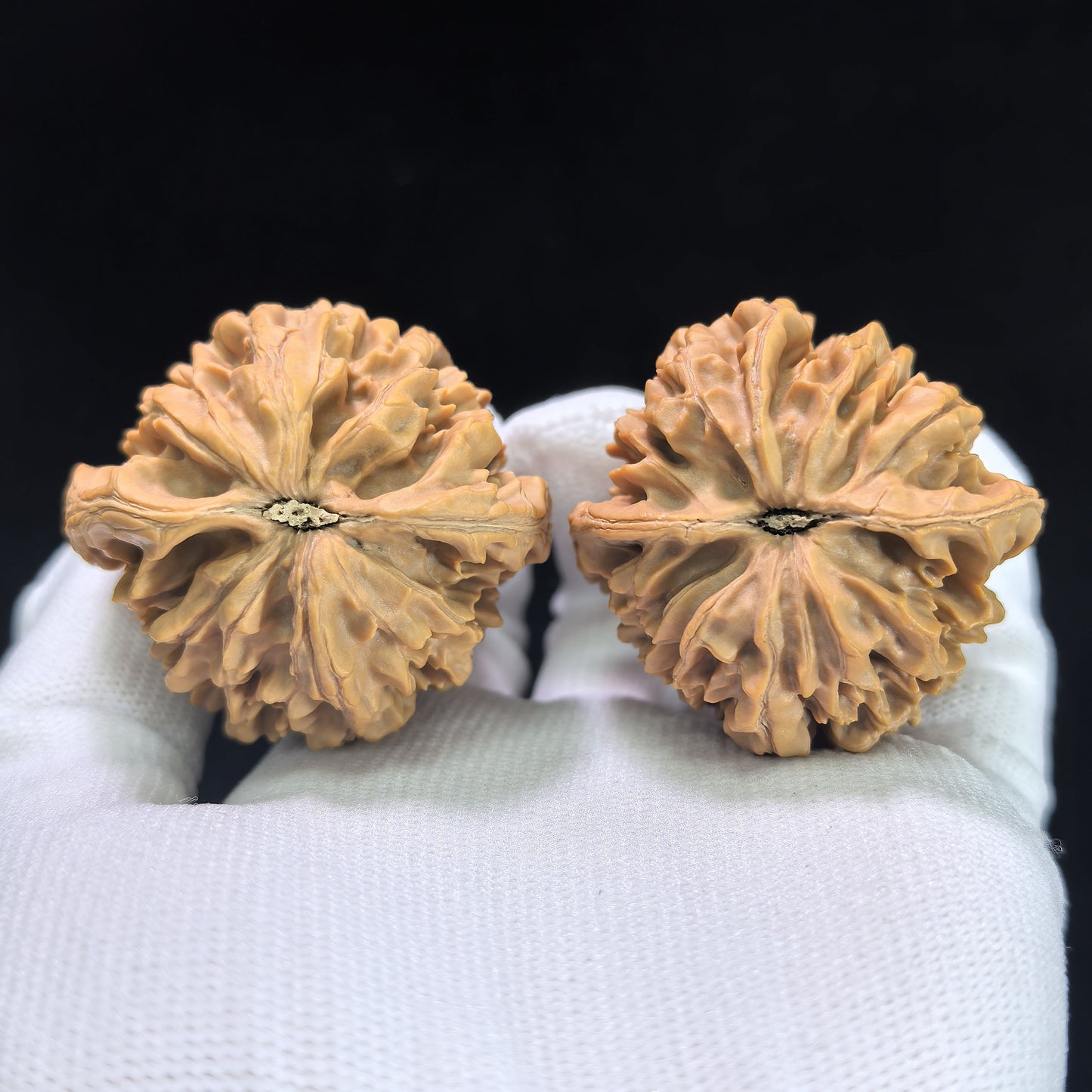 "Wealth Mouse" Zhaocaishu Wenwan Walnuts (Pair) | 44.0mm x 41.0mm | Stock ID: ZCS-1403