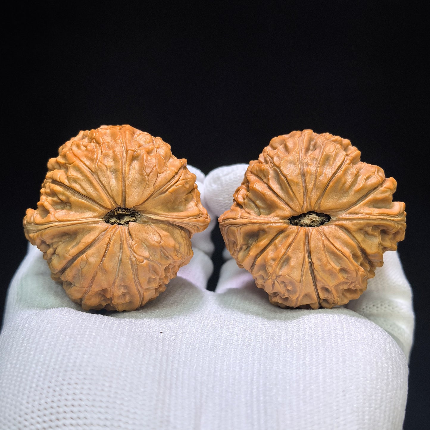 "Grand Reunion" Datuanyuan Wenwan Walnuts Pair | 45.0mm x 45.0mm | DTY-1551C