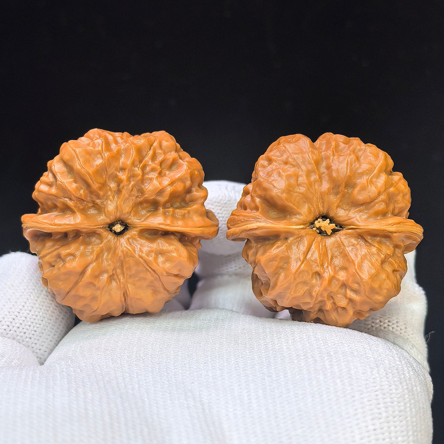 "Triangular Crystal Frog" Sanjiao Shuijingwa HMT-1502C Low-Profile Wenwan Walnuts Pair | 40.0mm x 41.0mm | HMT-1502C