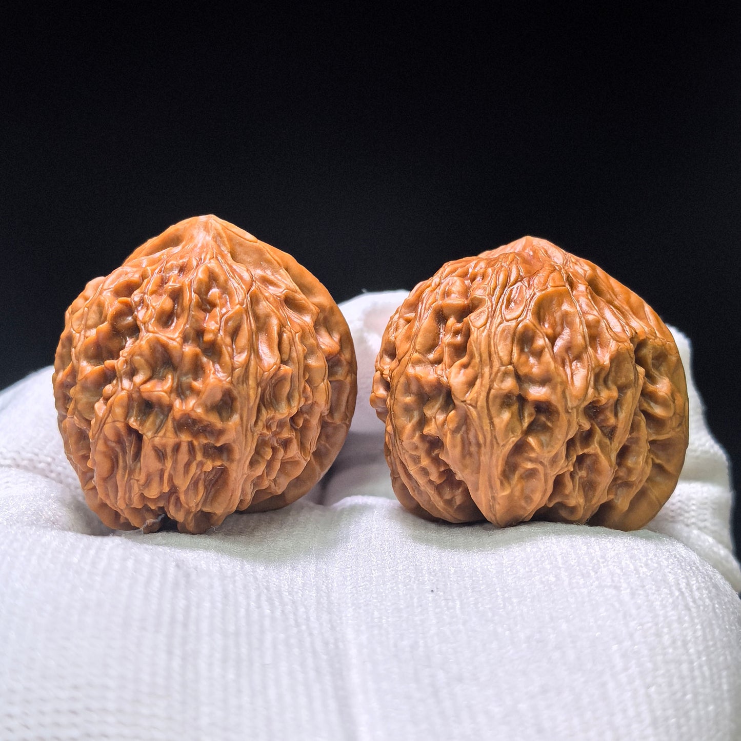 The Royal "Palace Lantern Turtle Shell" Gongdeng Wuguibei Pocket Masterpiece | 34.0mm x 37.0mm | GDWGB-401E
