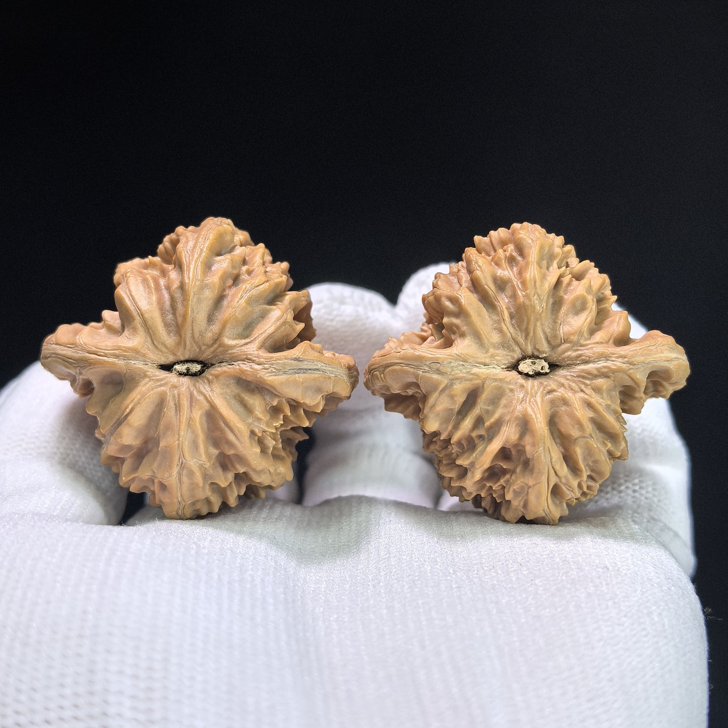 "Xiayun Ridge" Xiayunling Wenwan Walnuts (Pair) | 40.0mm x 38.0mm | Stock ID: XYL-1103