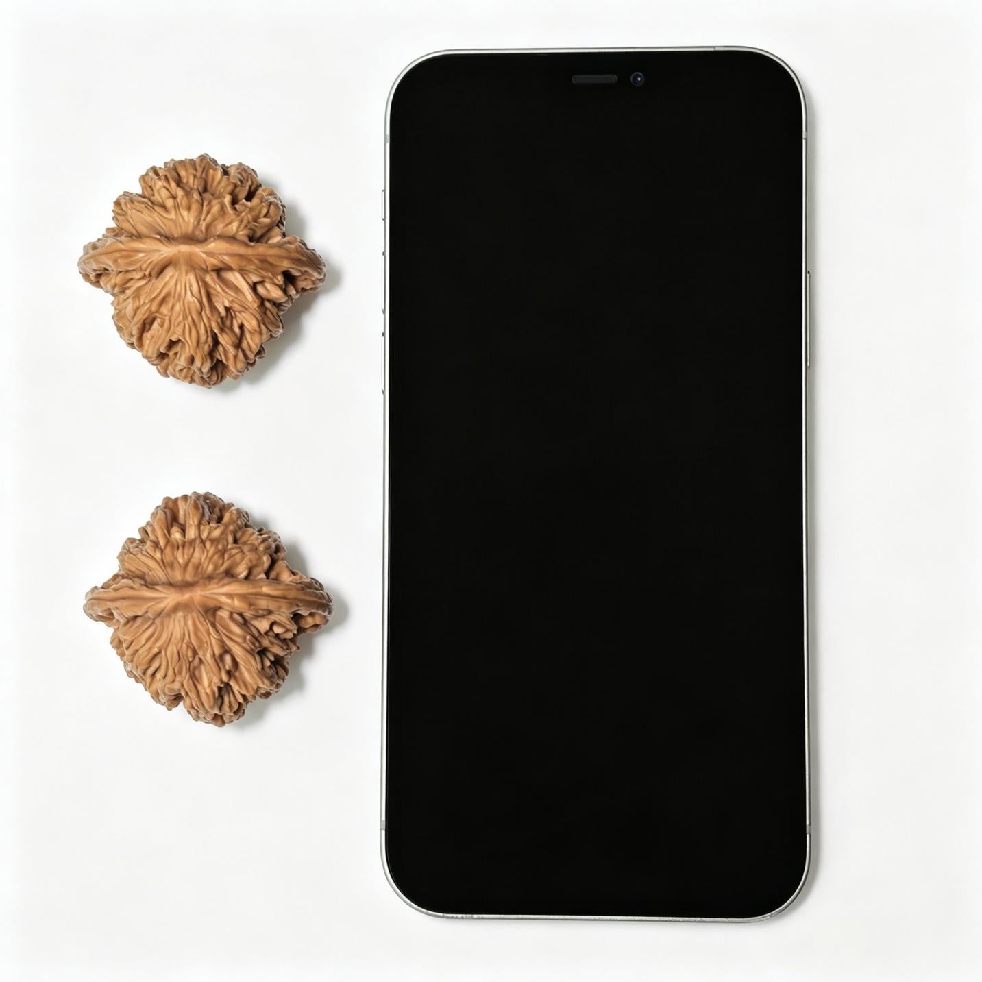 "Wheat Ear Tiger Head" Maisui Hutou MSHT-1404 Classic Wenwan Walnuts Pair | 40.0mm x 38.0mm | MSHT-1404