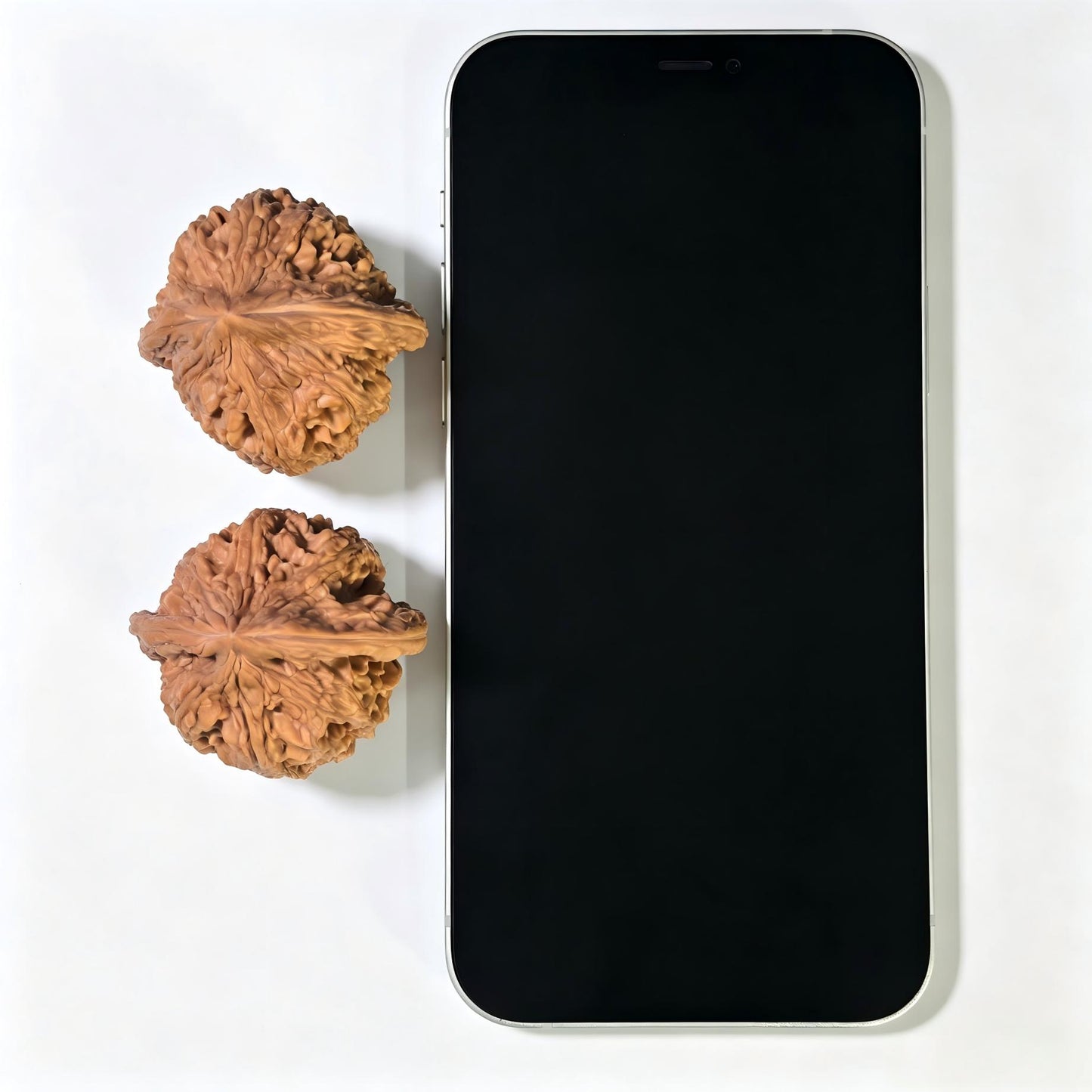 "Dagu Stone" Dagushi DGS-1602 Classic Wenwan Walnuts Pair | 40.0mm x 40.0mm | DGS-1602