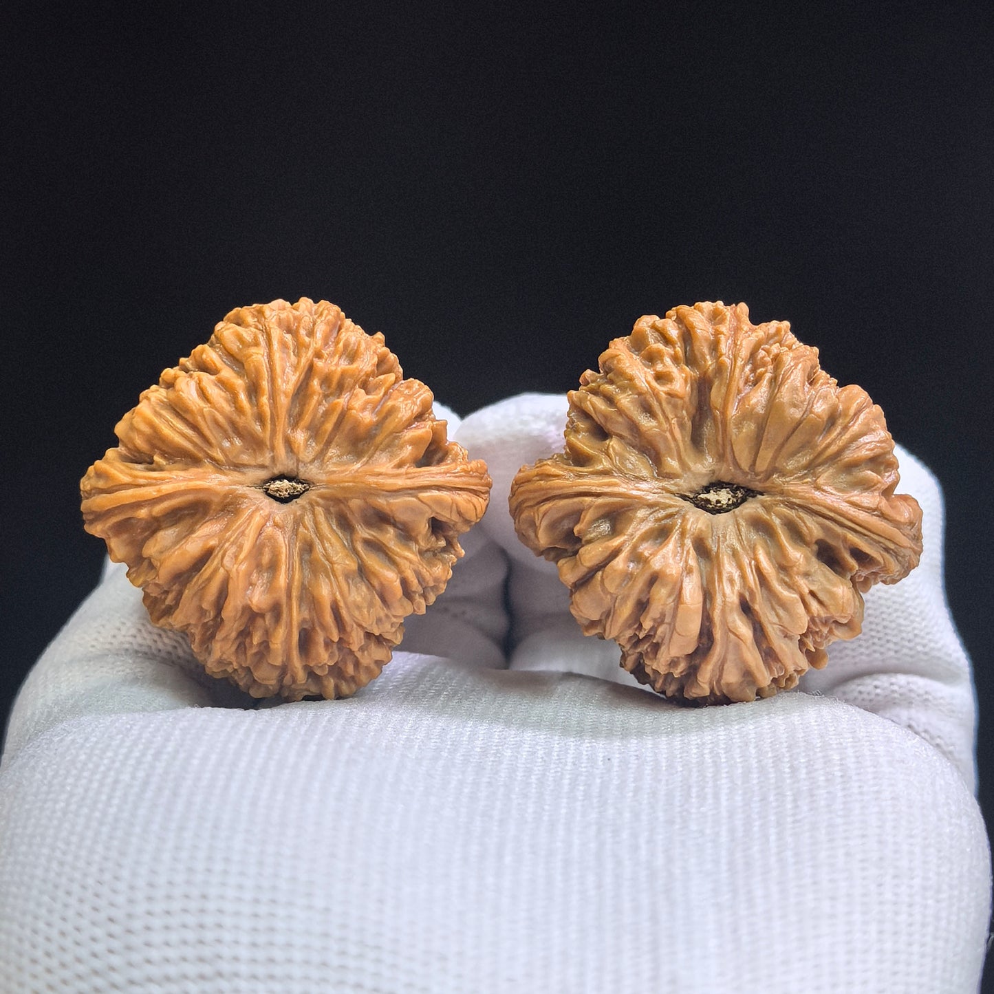 "Nanjiangshi Lionhead" Nanjiangshi NJS-SY1A5 Low-Profile Wenwan Walnuts Pair | 40.0mm x 41.0mm | NJS-SY1A5